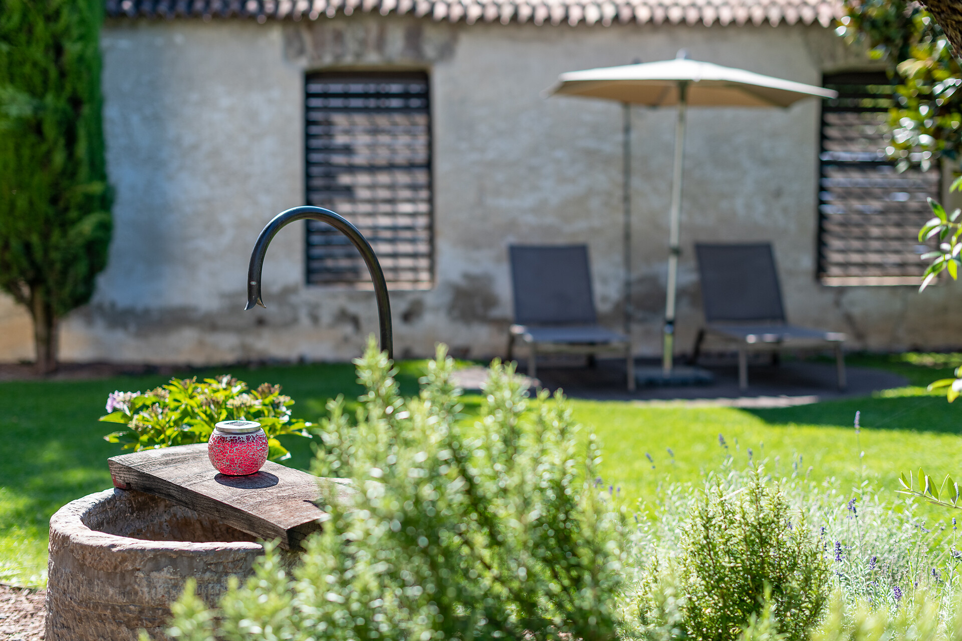 giardino