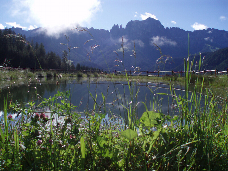 patrimonio naturale unesco