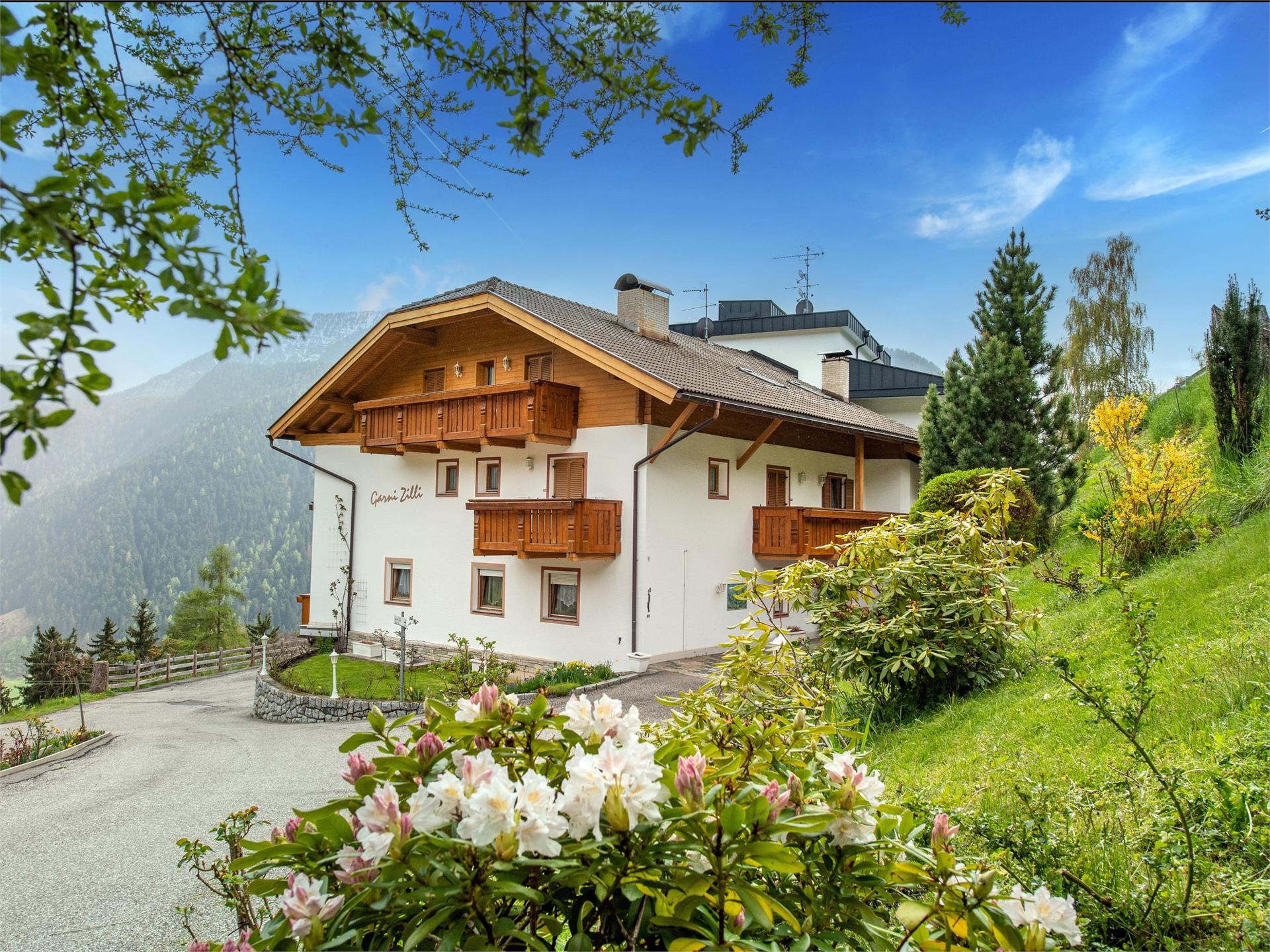 Garni Zilli Lajen 1 suedtirol.info