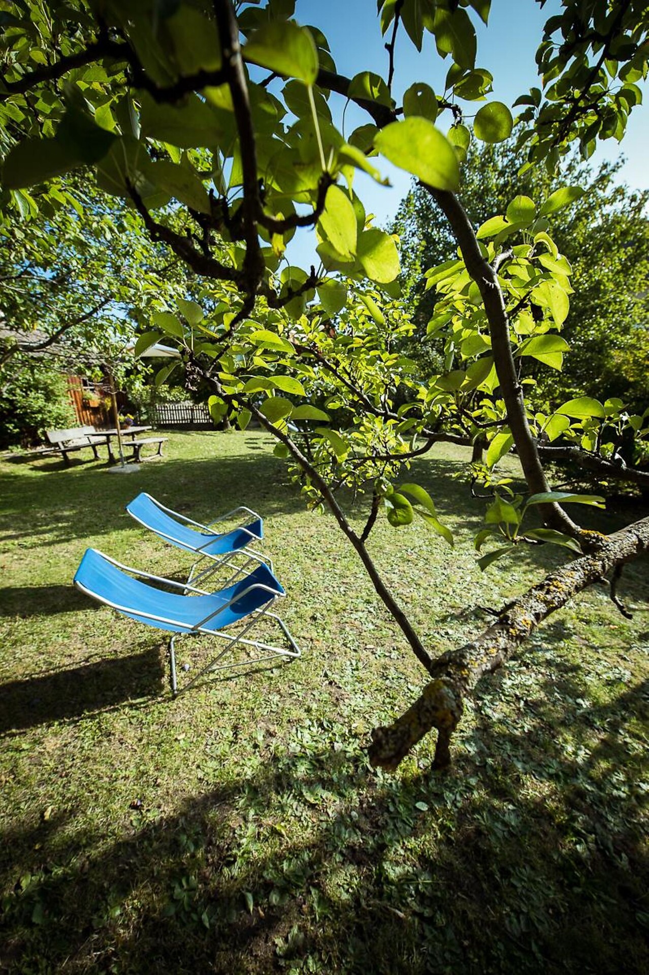 Garten