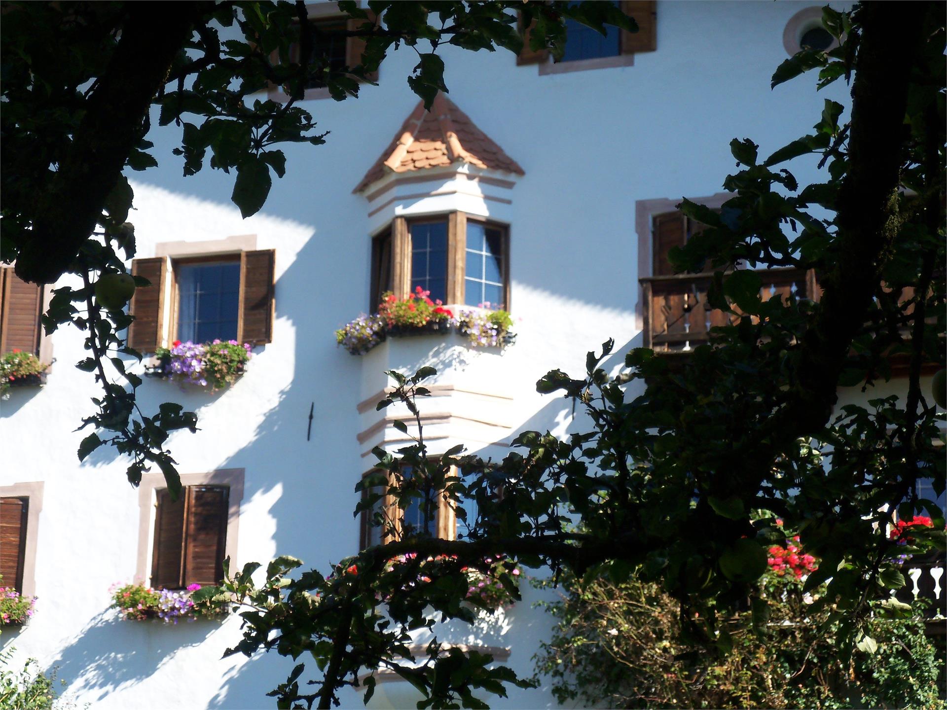 Garni Tschutscher Hof Laion 2 suedtirol.info