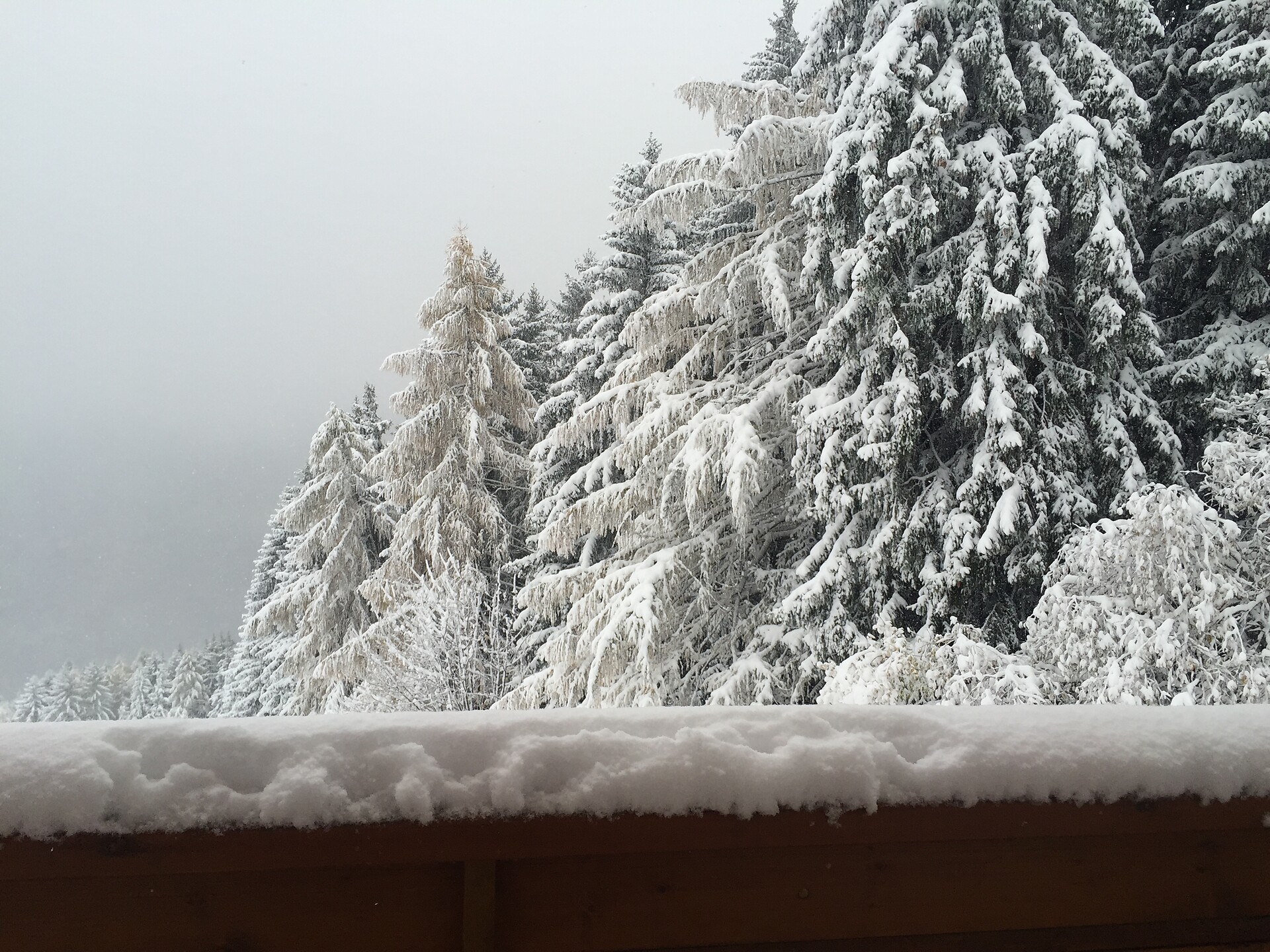 Gasthof Greitererhof