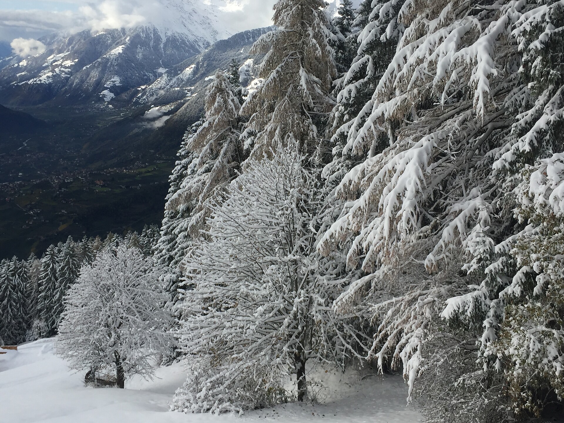 Gasthof Greitererhof