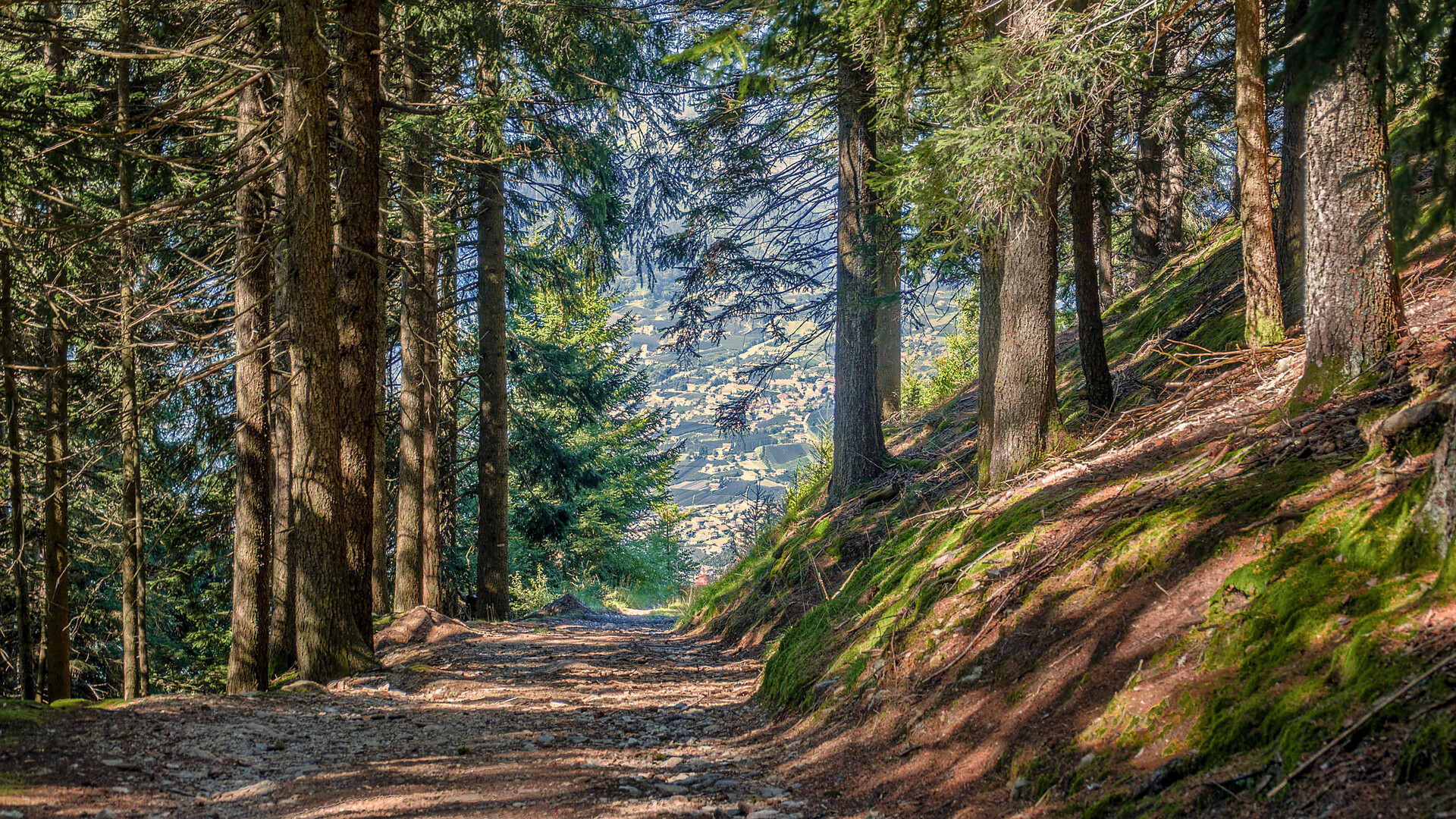 Gasthof Greitererhof