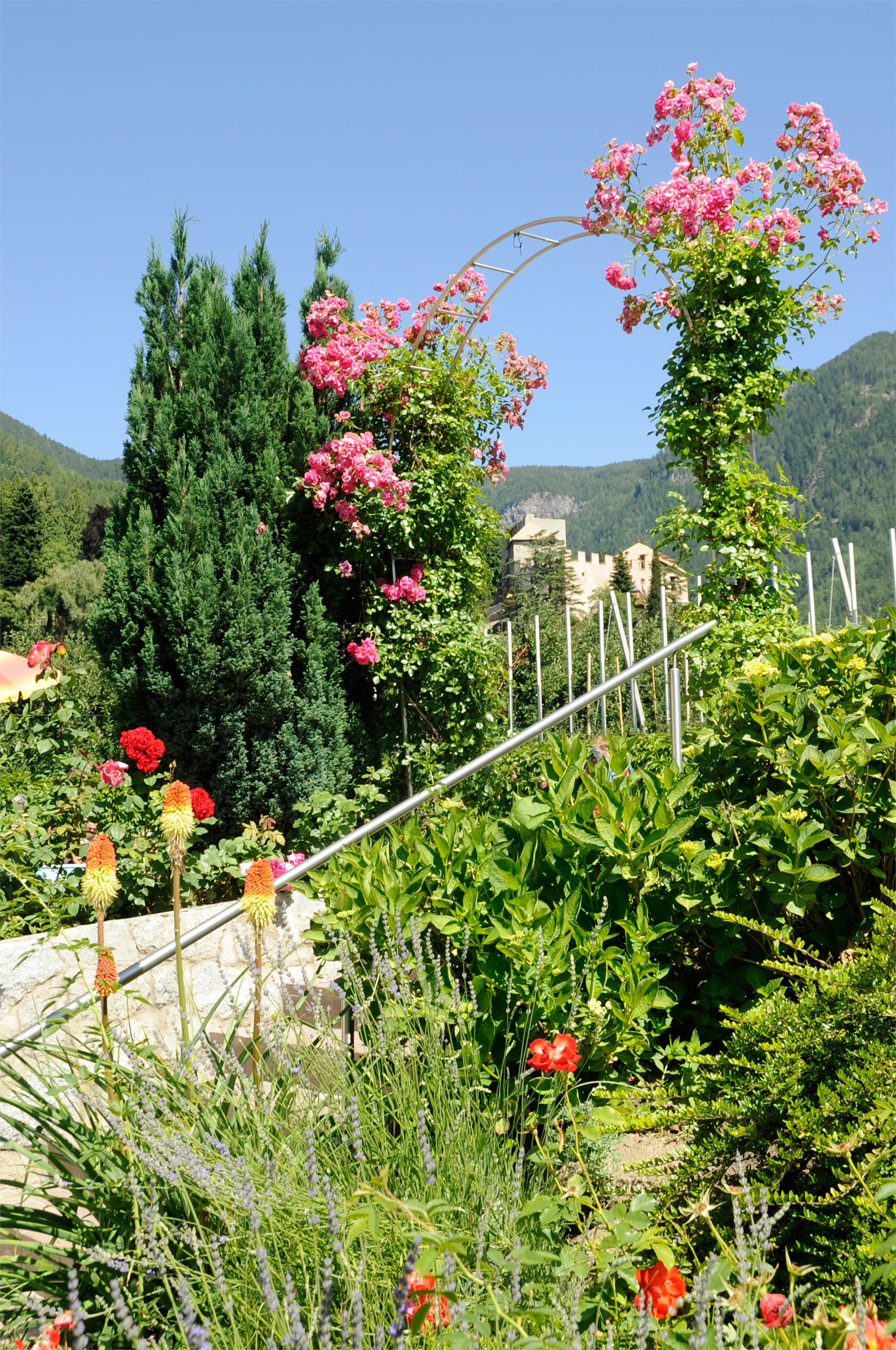 Garni-Hotel Feldhof Schenna/Scena 9 suedtirol.info