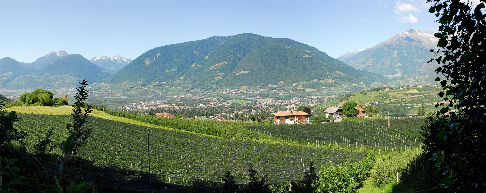 Garni-Hotel Feldhof Schenna/Scena 12 suedtirol.info
