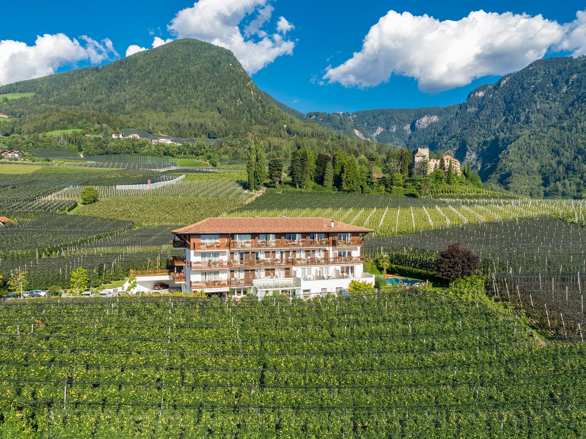 Garni-Hotel Feldhof Schenna/Scena 10 suedtirol.info