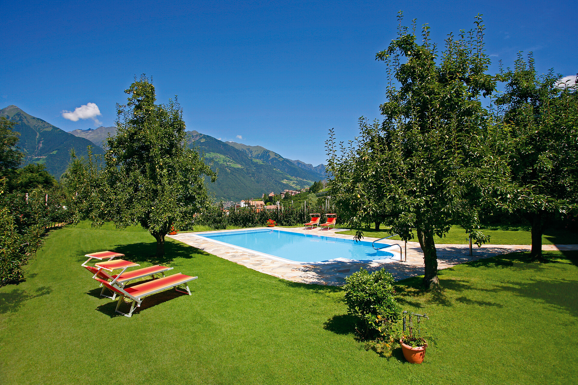 Pool with garden