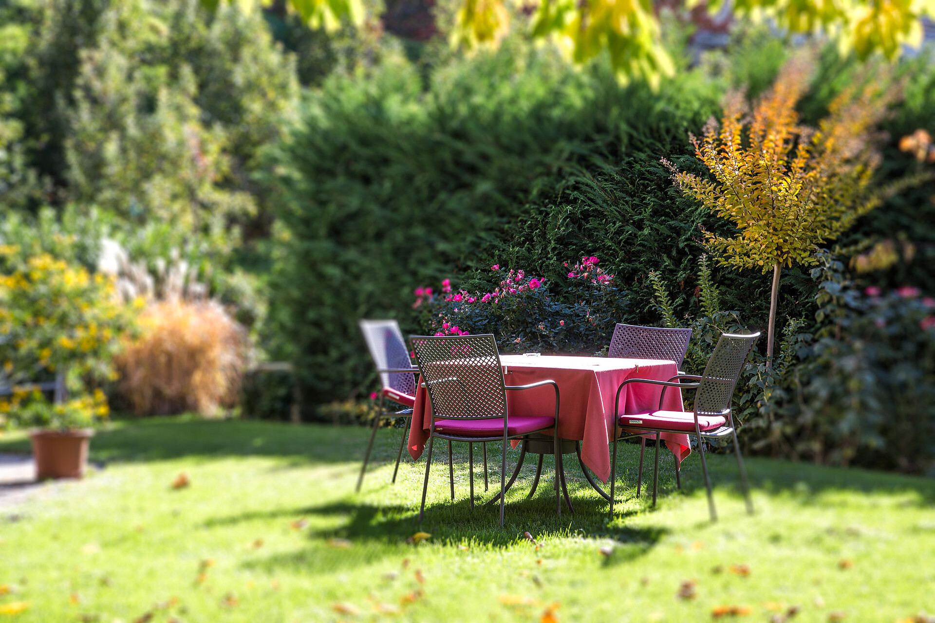 Garten 2