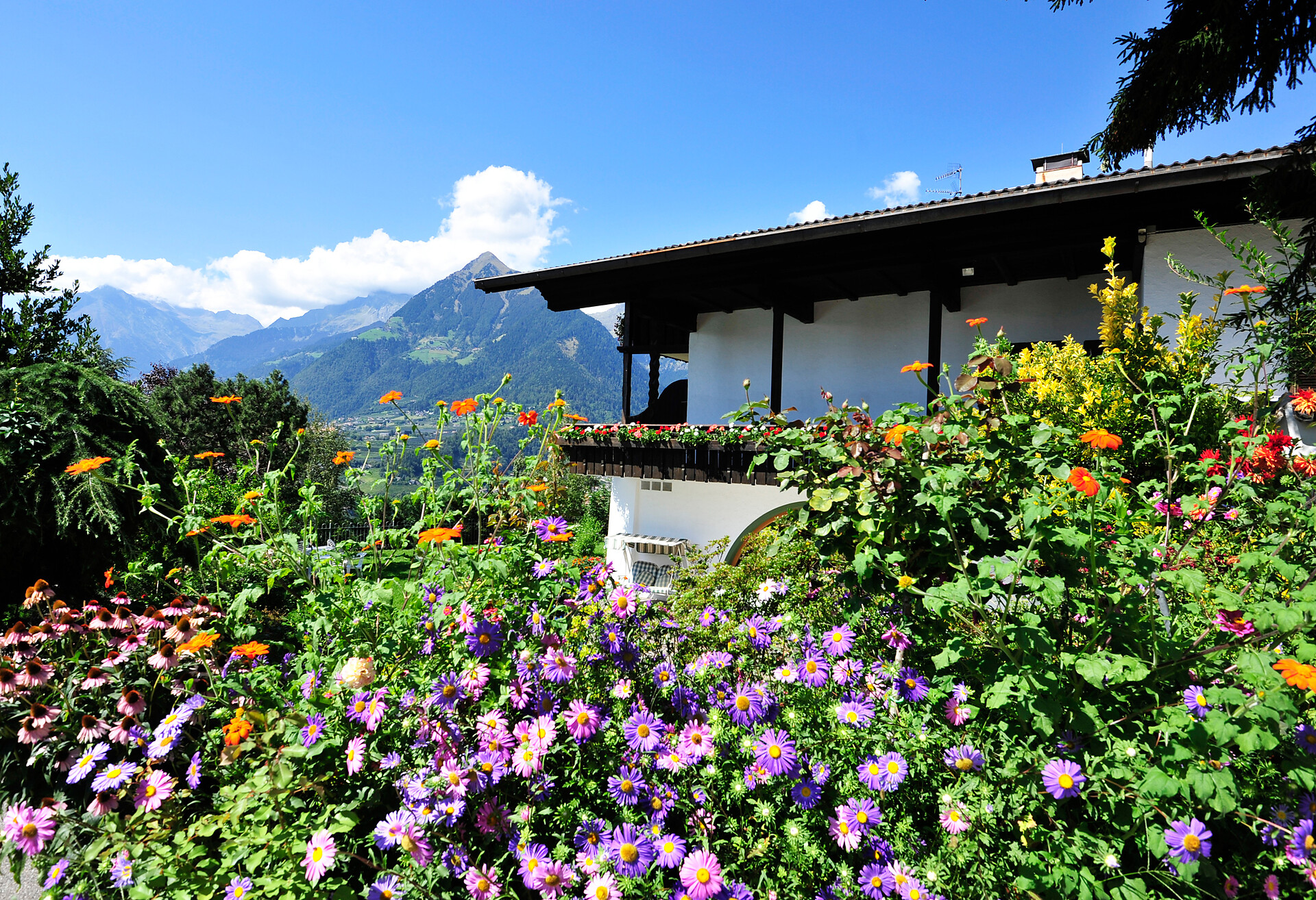 Garni Zirmhof Schenna 8 suedtirol.info