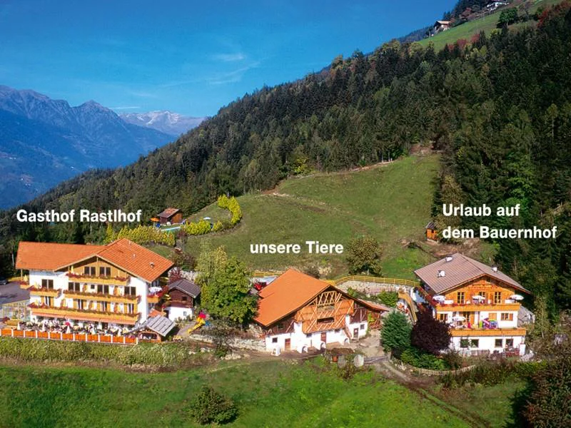Pension Rastlhof Schenna/Scena 1 suedtirol.info