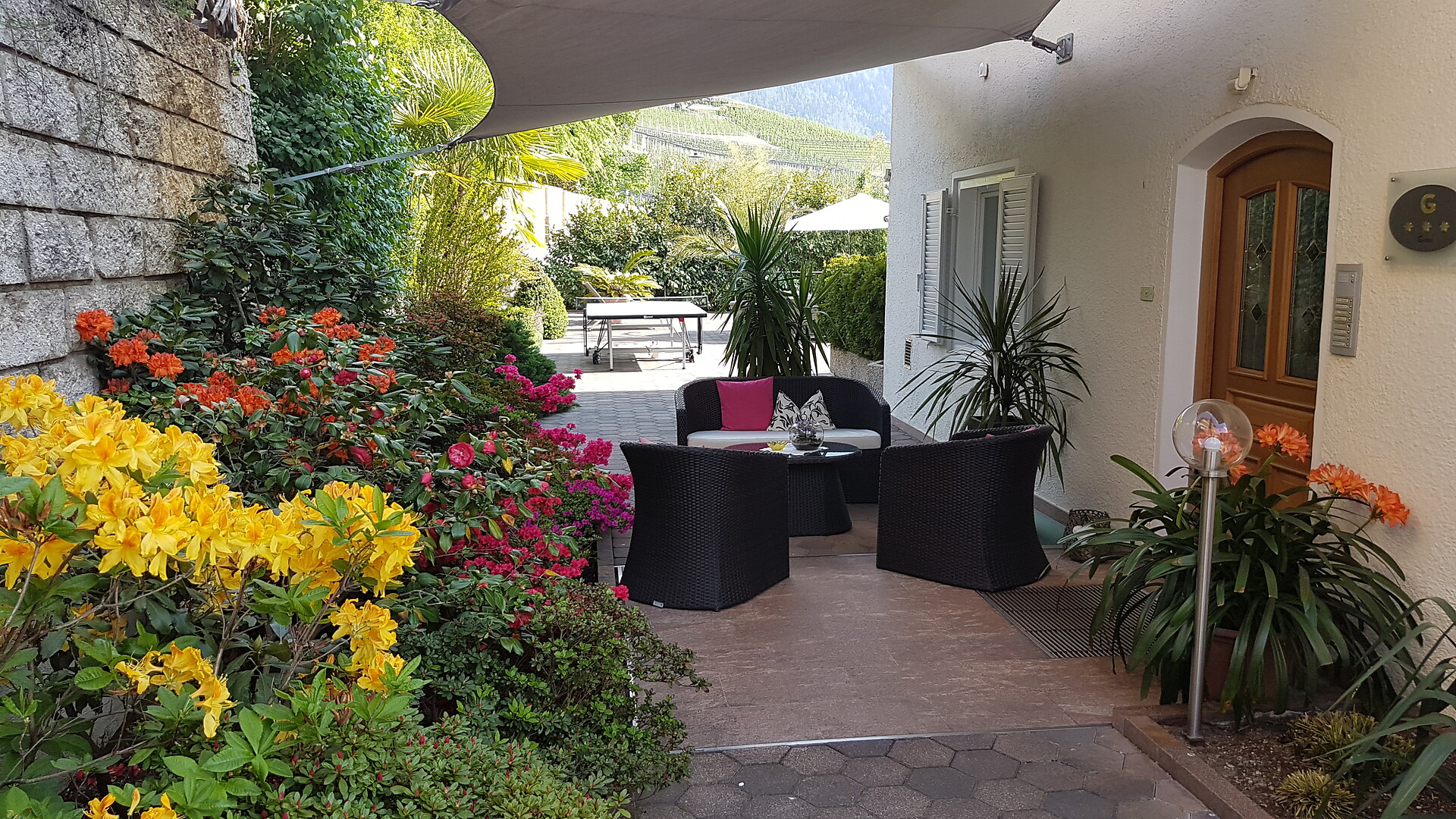 Garden