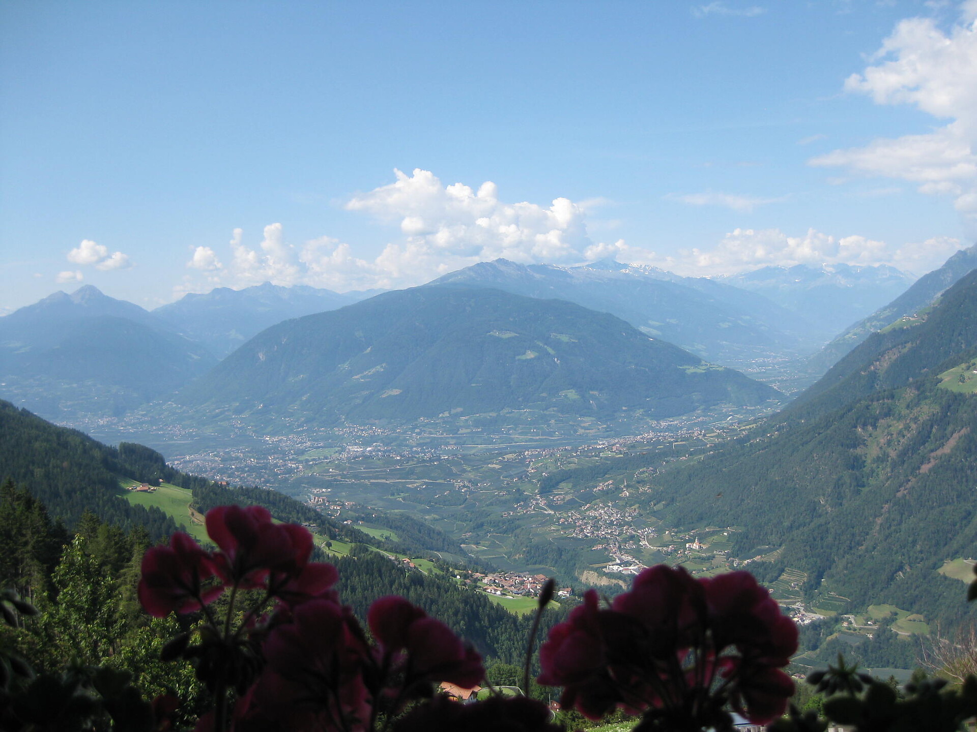 Gasthof Oberkirn Schenna 2 suedtirol.info