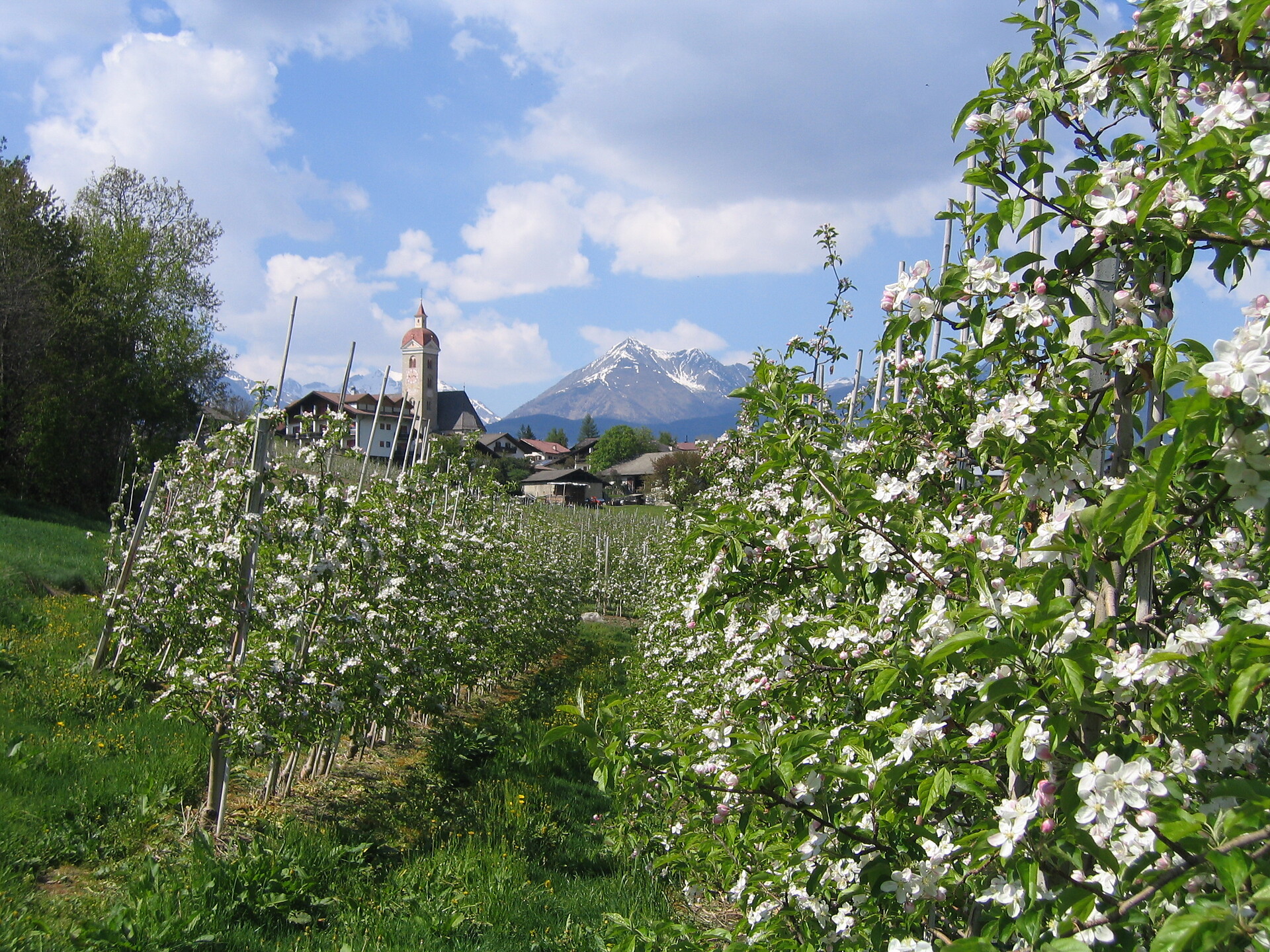 Gästehaus Klara - Brixen/Bressanone and environs - #4 - suedtirol.info