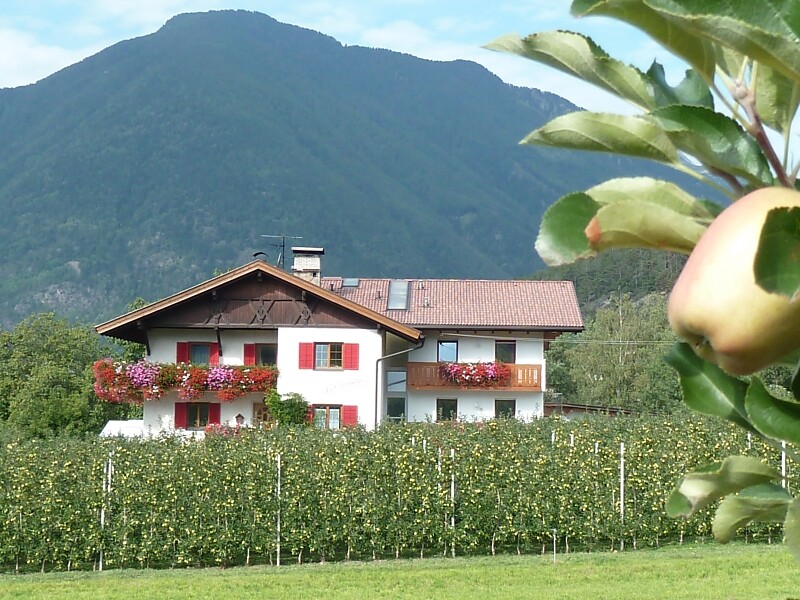 Peintnerhof