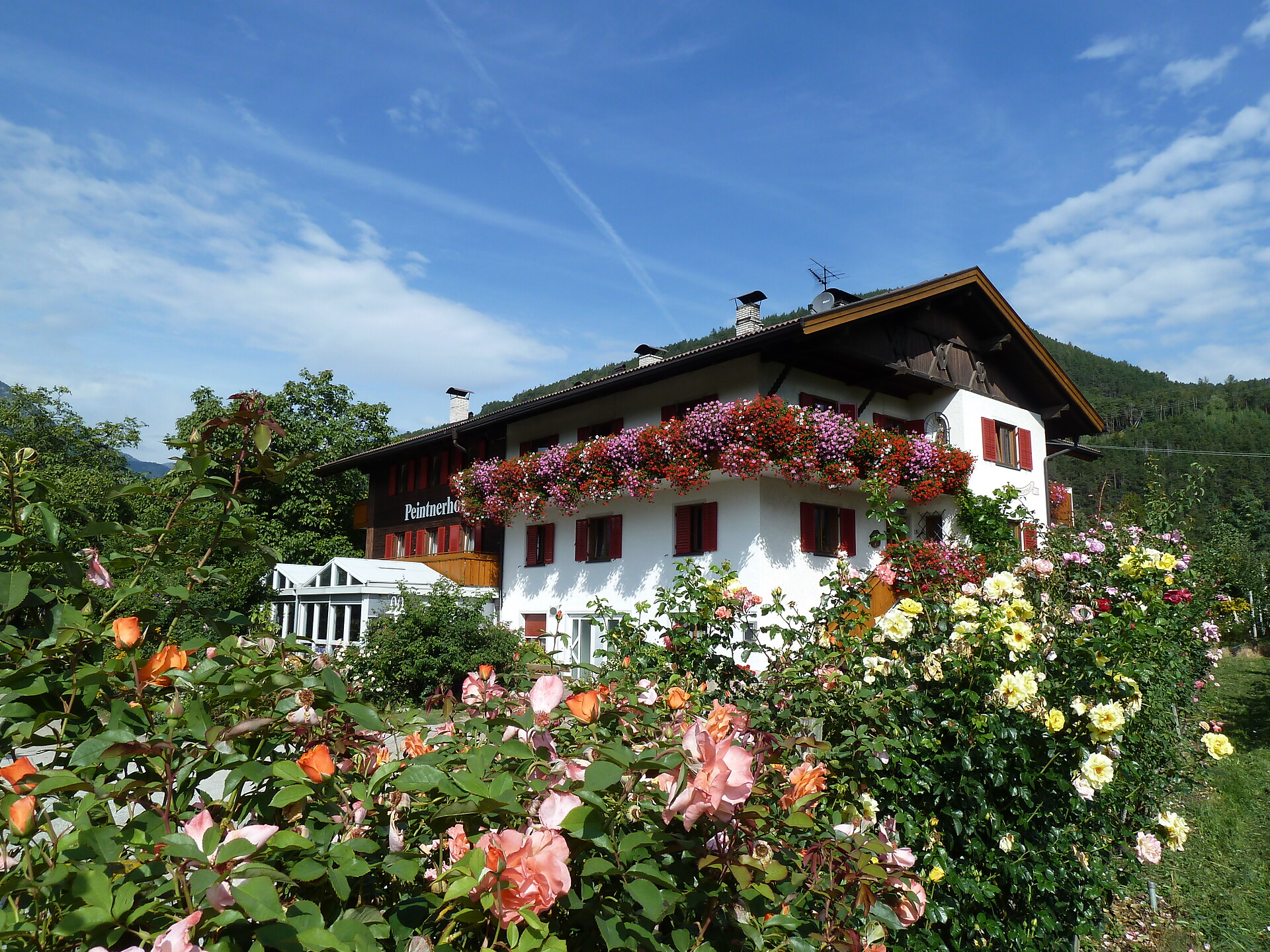 Pension Peintnerhof