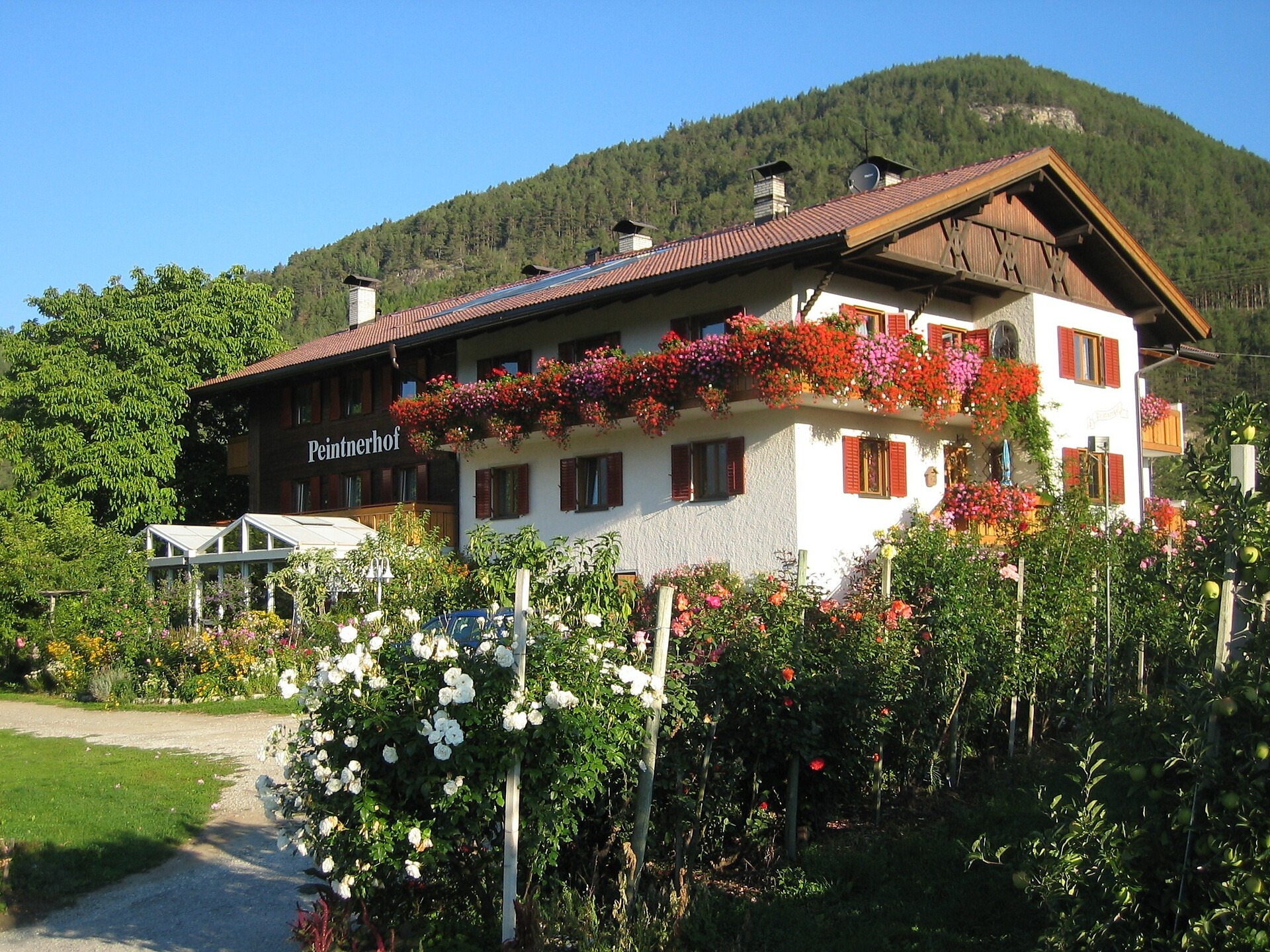 Pension Peintnerhof
