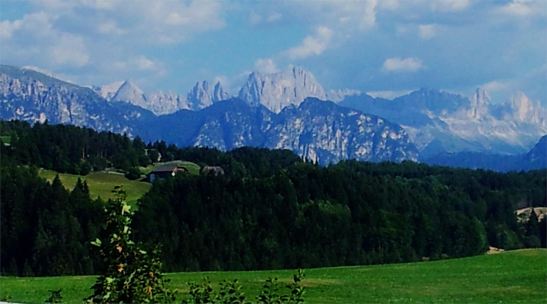 Gasthof Mesnerwirt Ritten/Renon 6 suedtirol.info