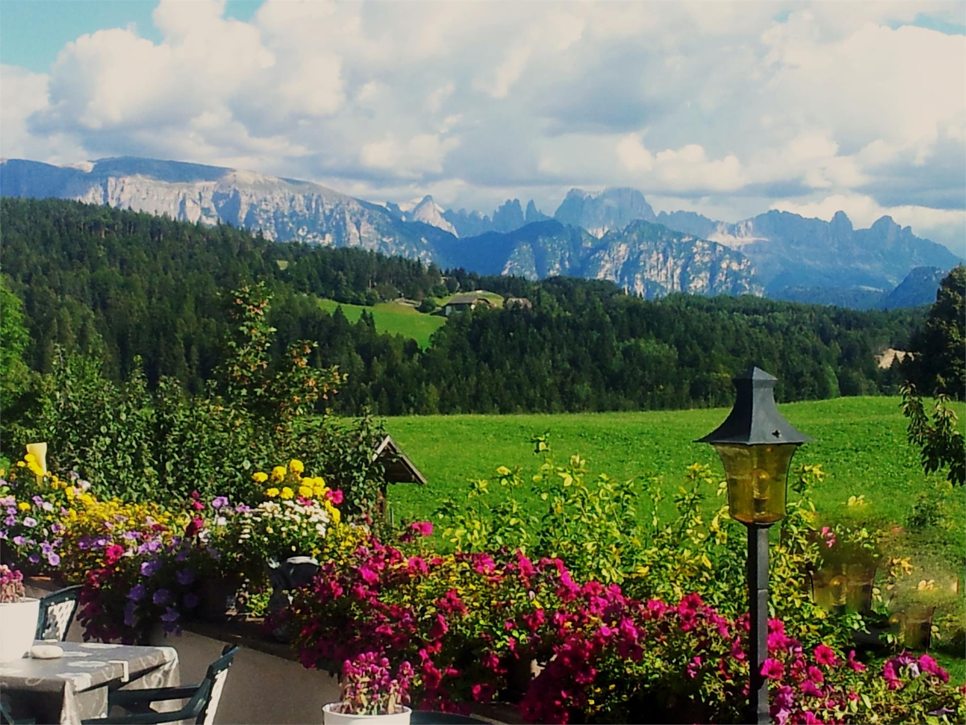 Gasthof Mesnerwirt Ritten/Renon 5 suedtirol.info