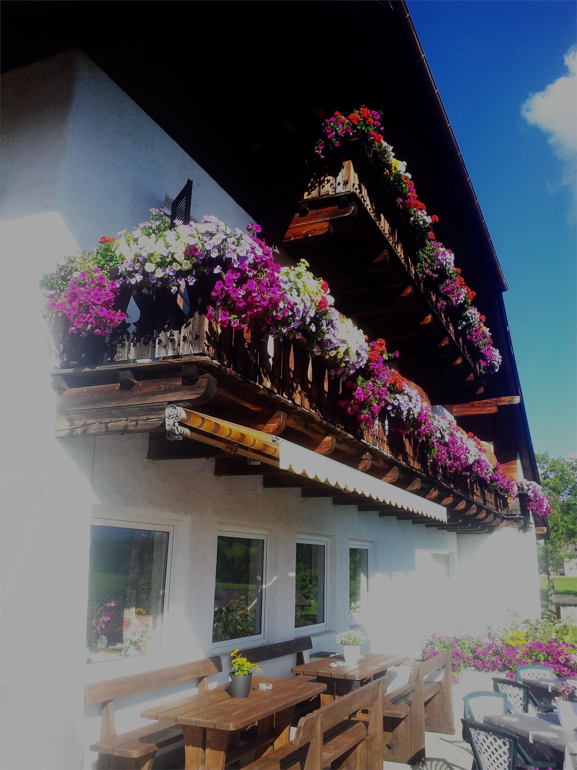 Gasthof Mesnerwirt Ritten/Renon 29 suedtirol.info