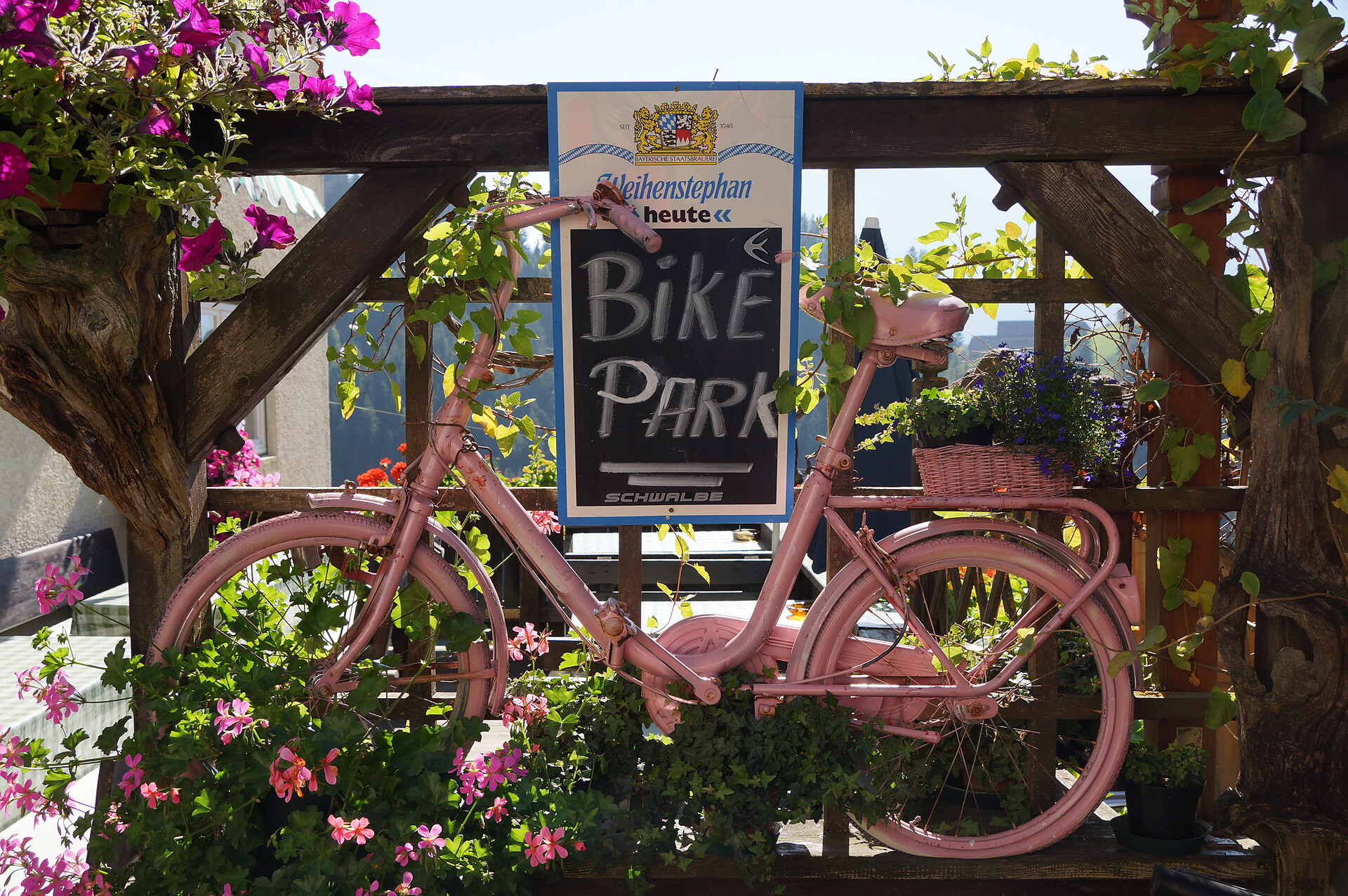 bike park