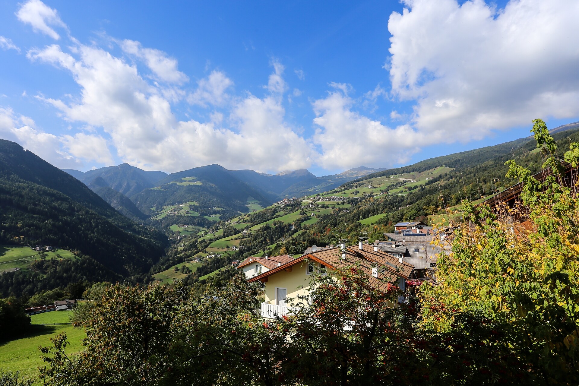 Vista