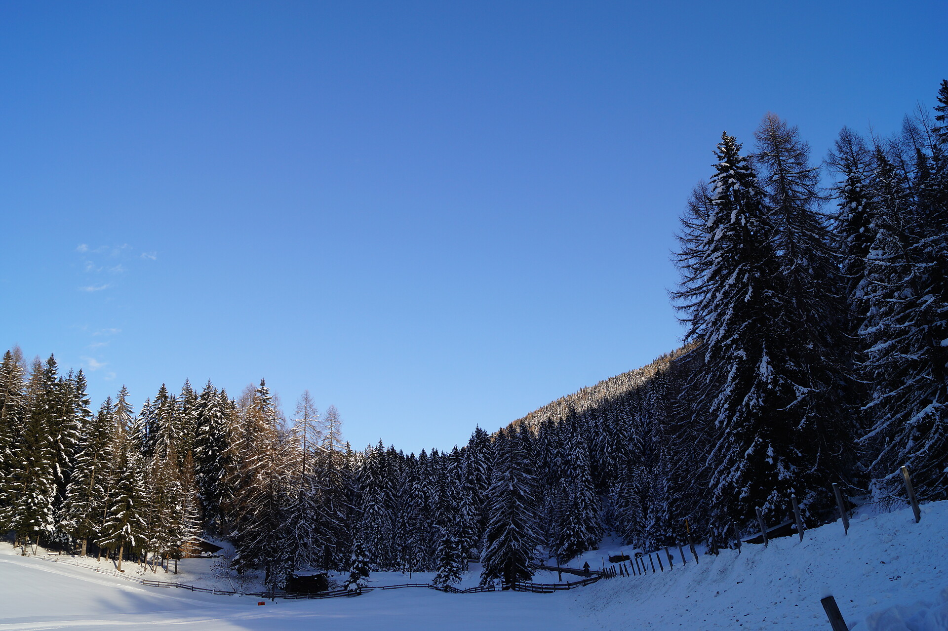 winter