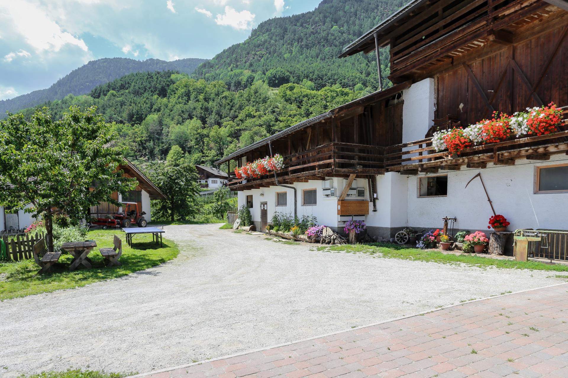 Gasserhof Barbiano 5 suedtirol.info