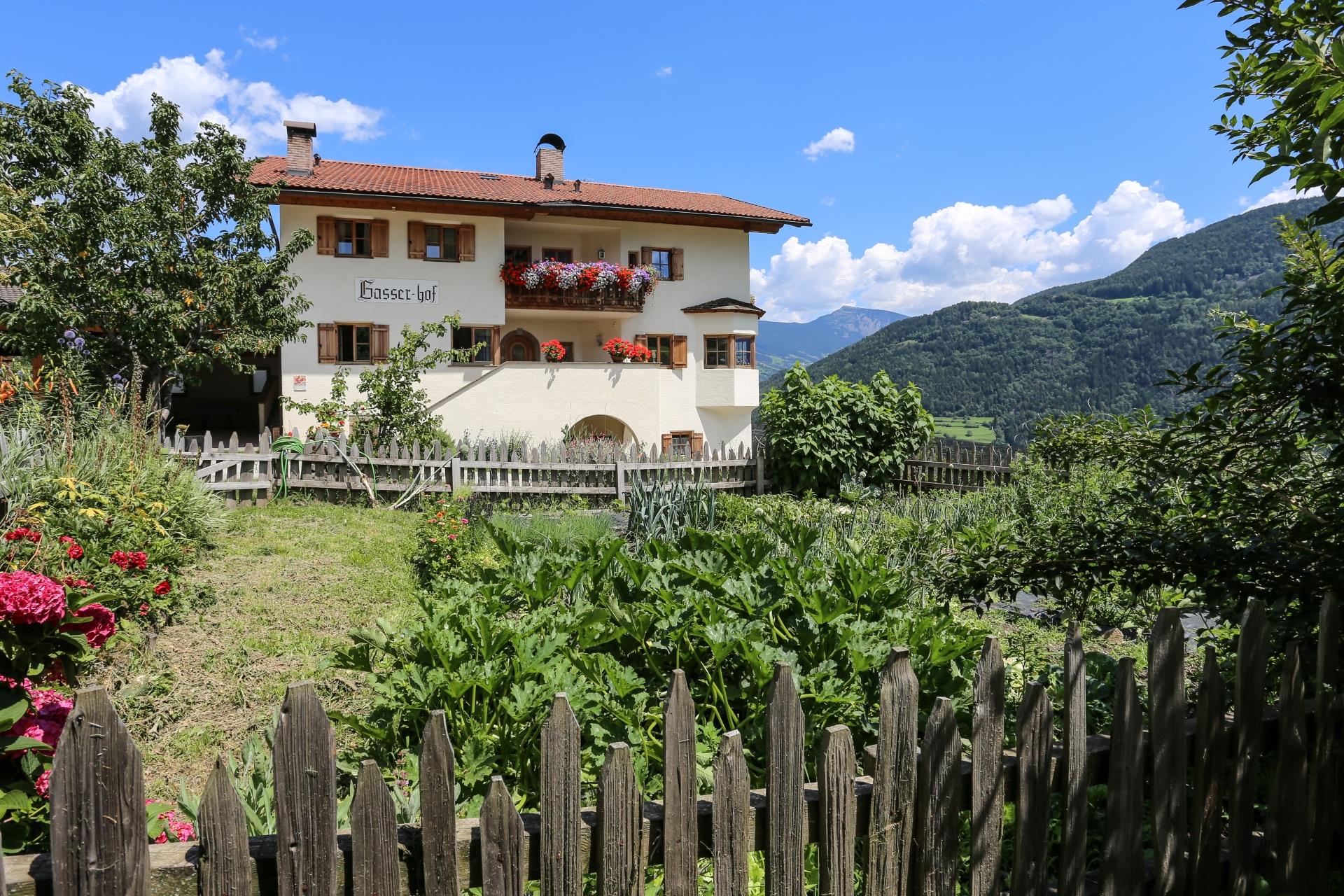 Gasserhof Barbiano 3 suedtirol.info