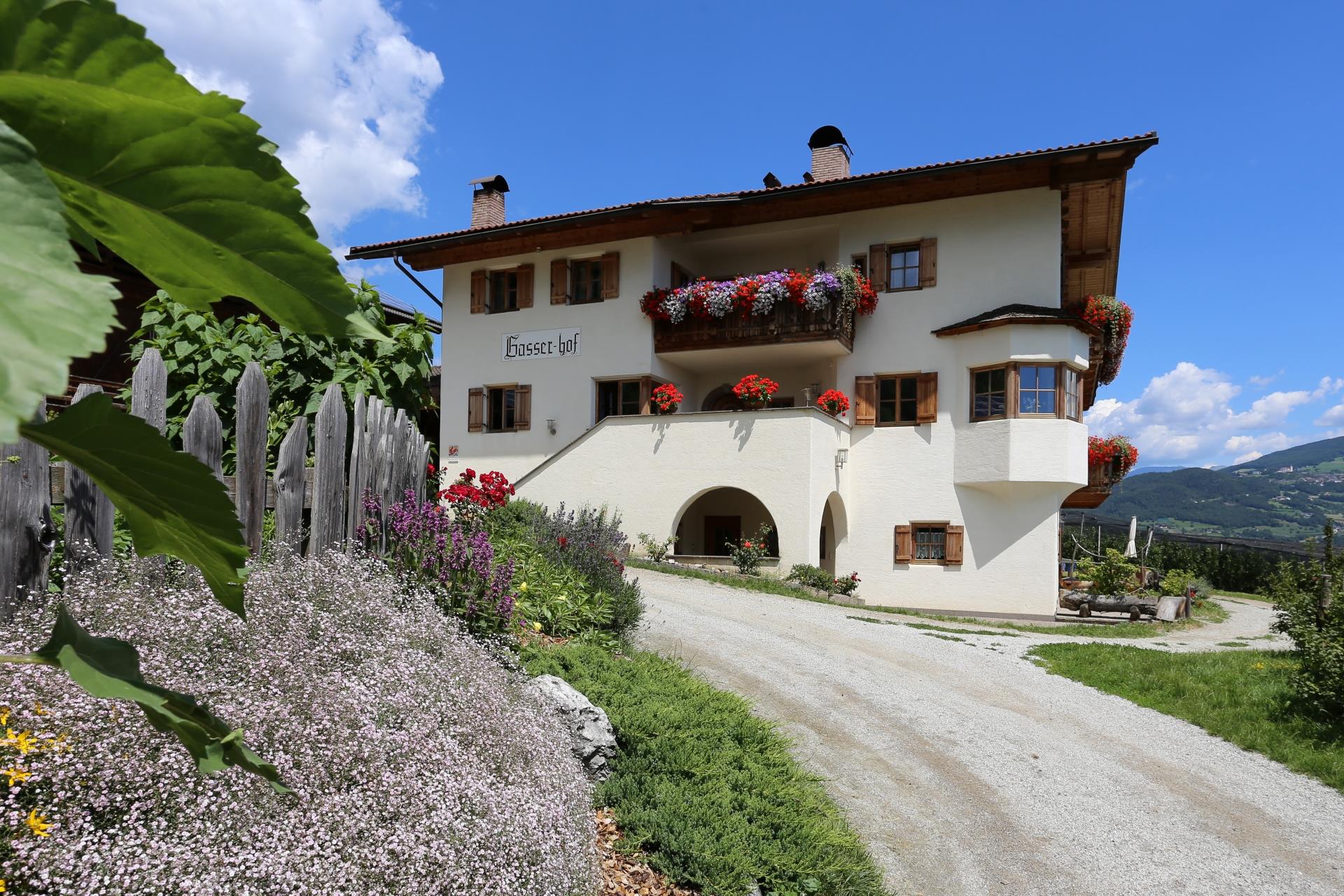 Gasserhof Barbiano 15 suedtirol.info