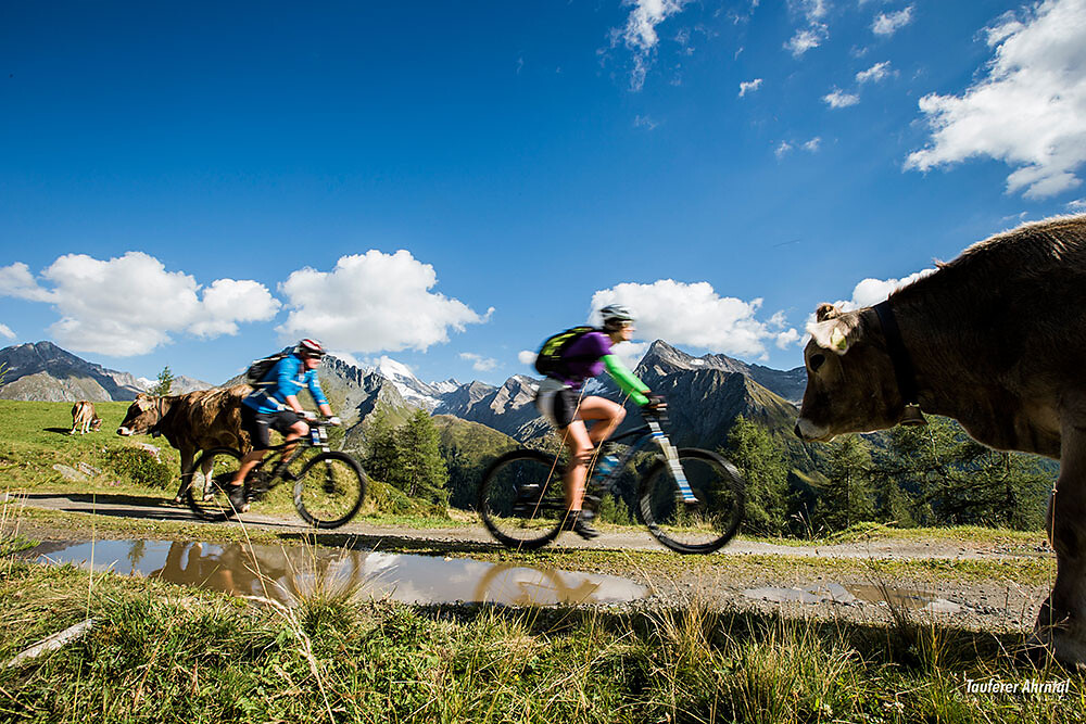 MOUNTAINBIKE