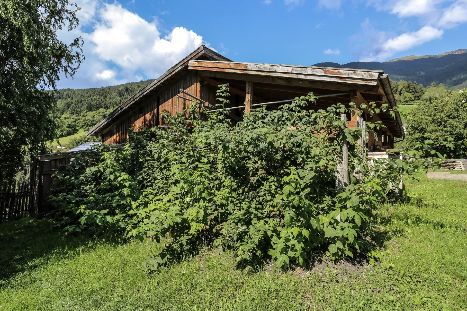 Gasserhof Feldthurns/Velturno 14 suedtirol.info