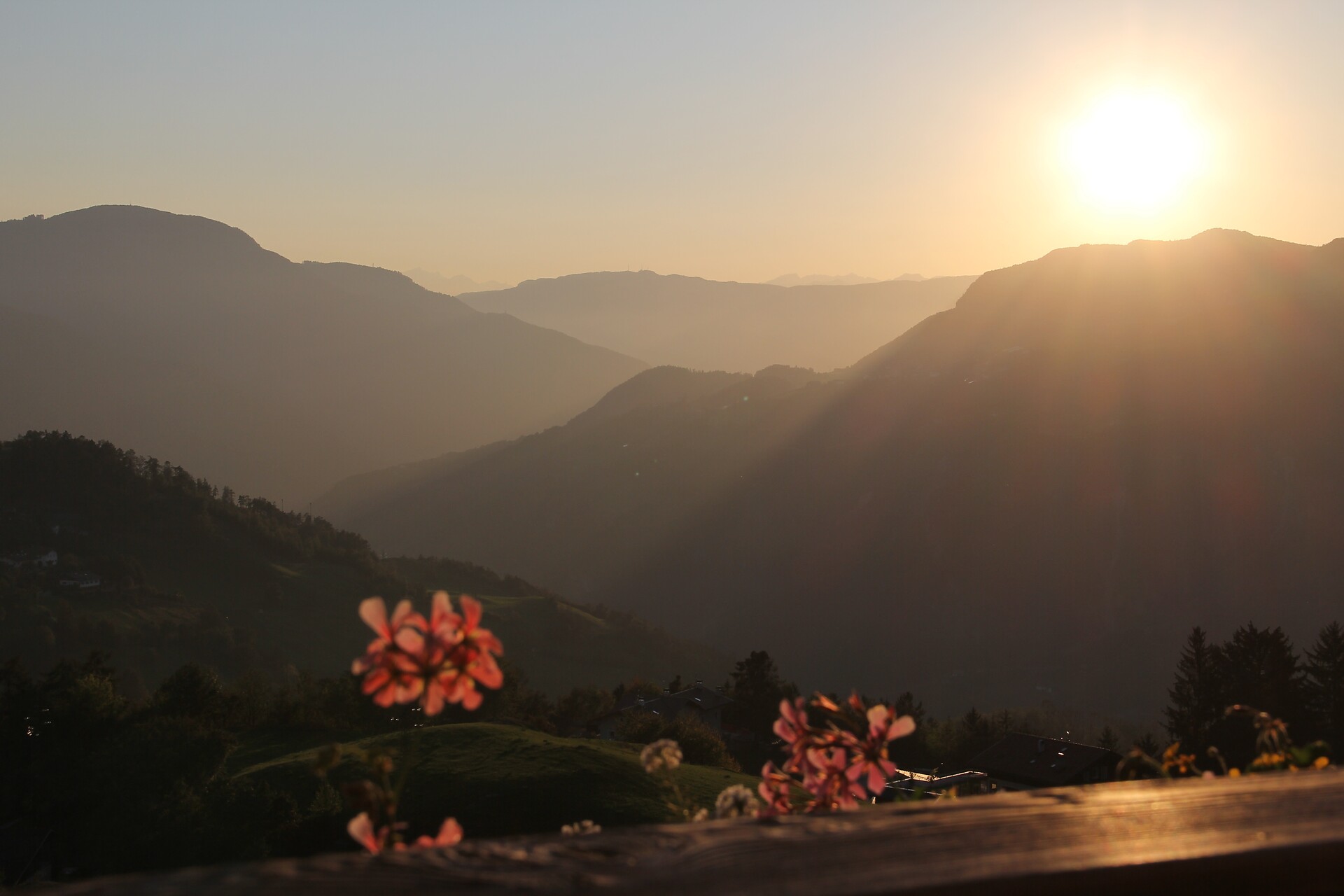 Gfliererhof