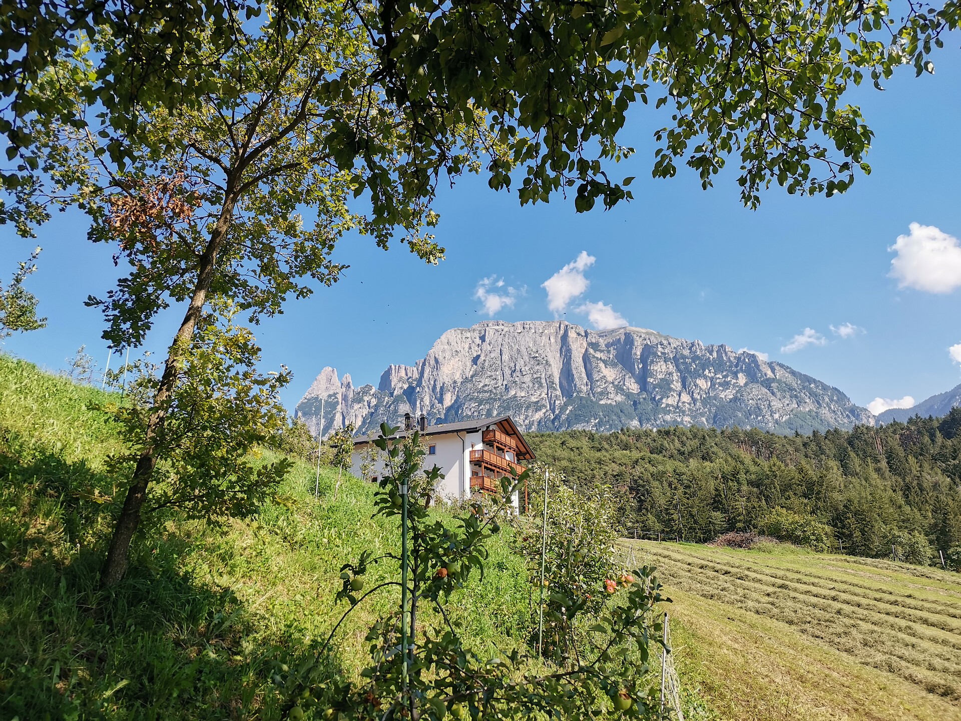 Gfliererhof
