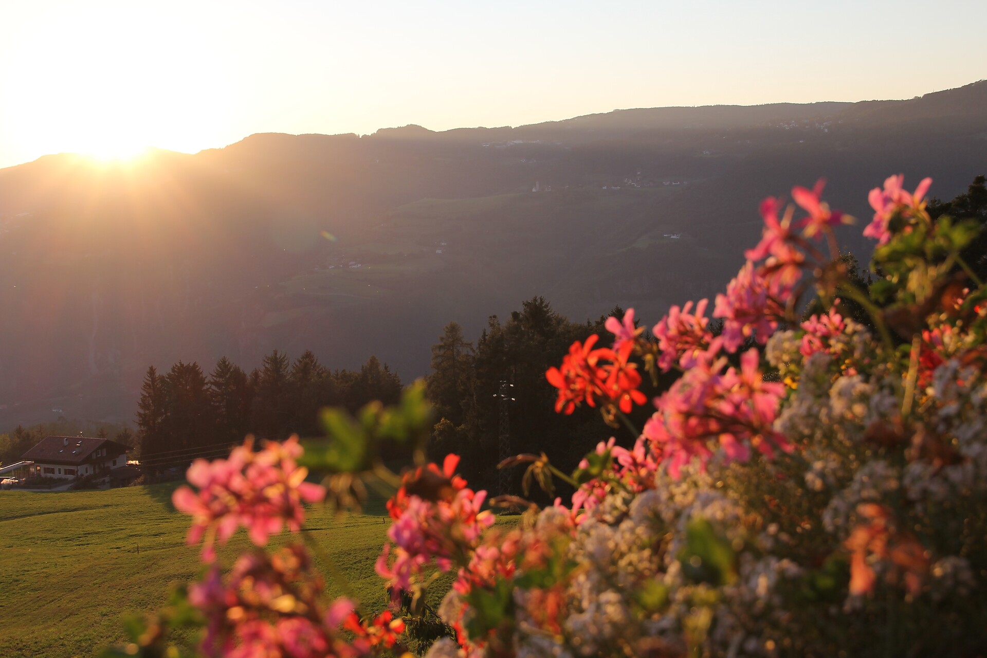 Gfliererhof