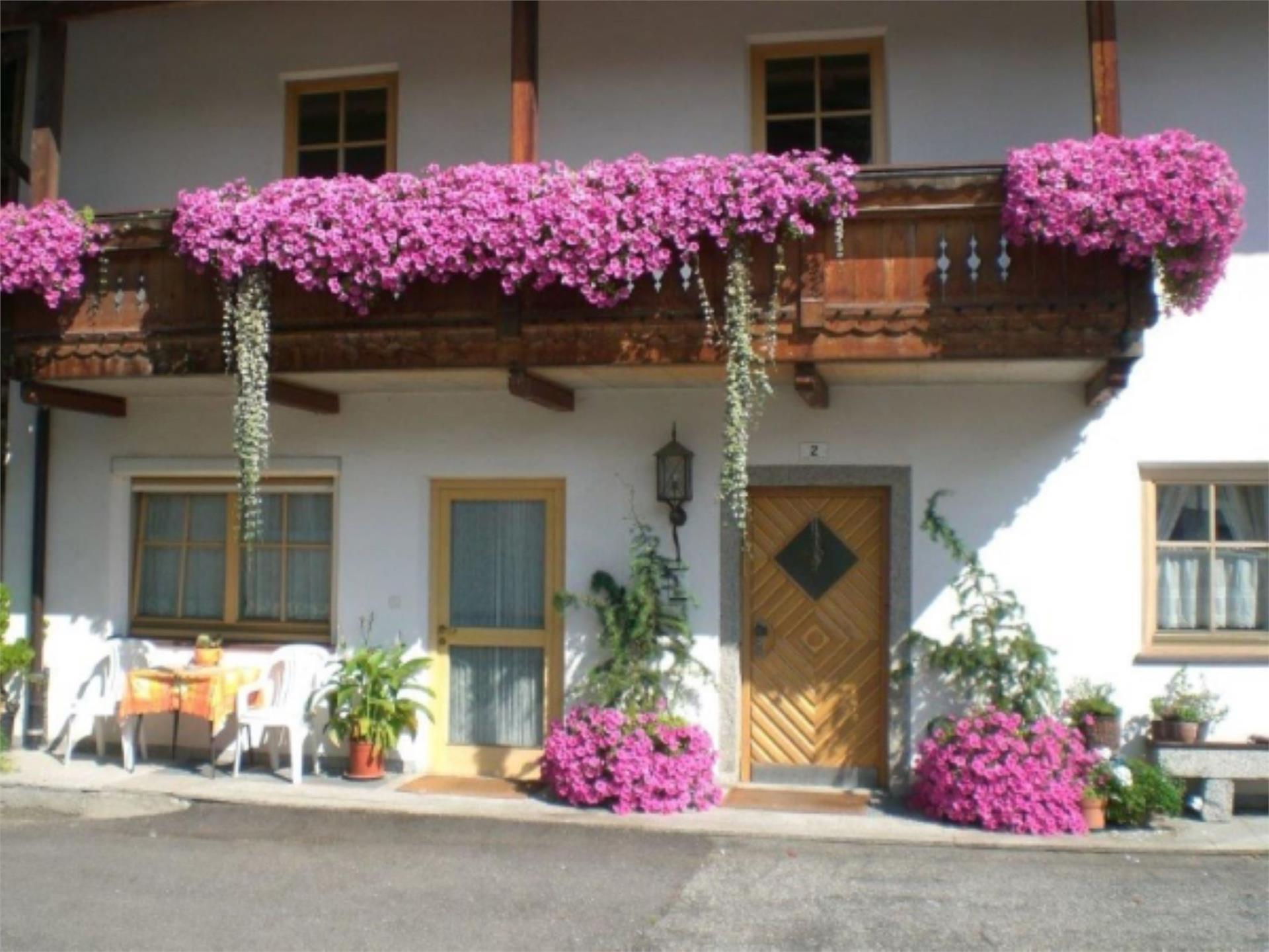 Gattermairhof Falzes 1 suedtirol.info