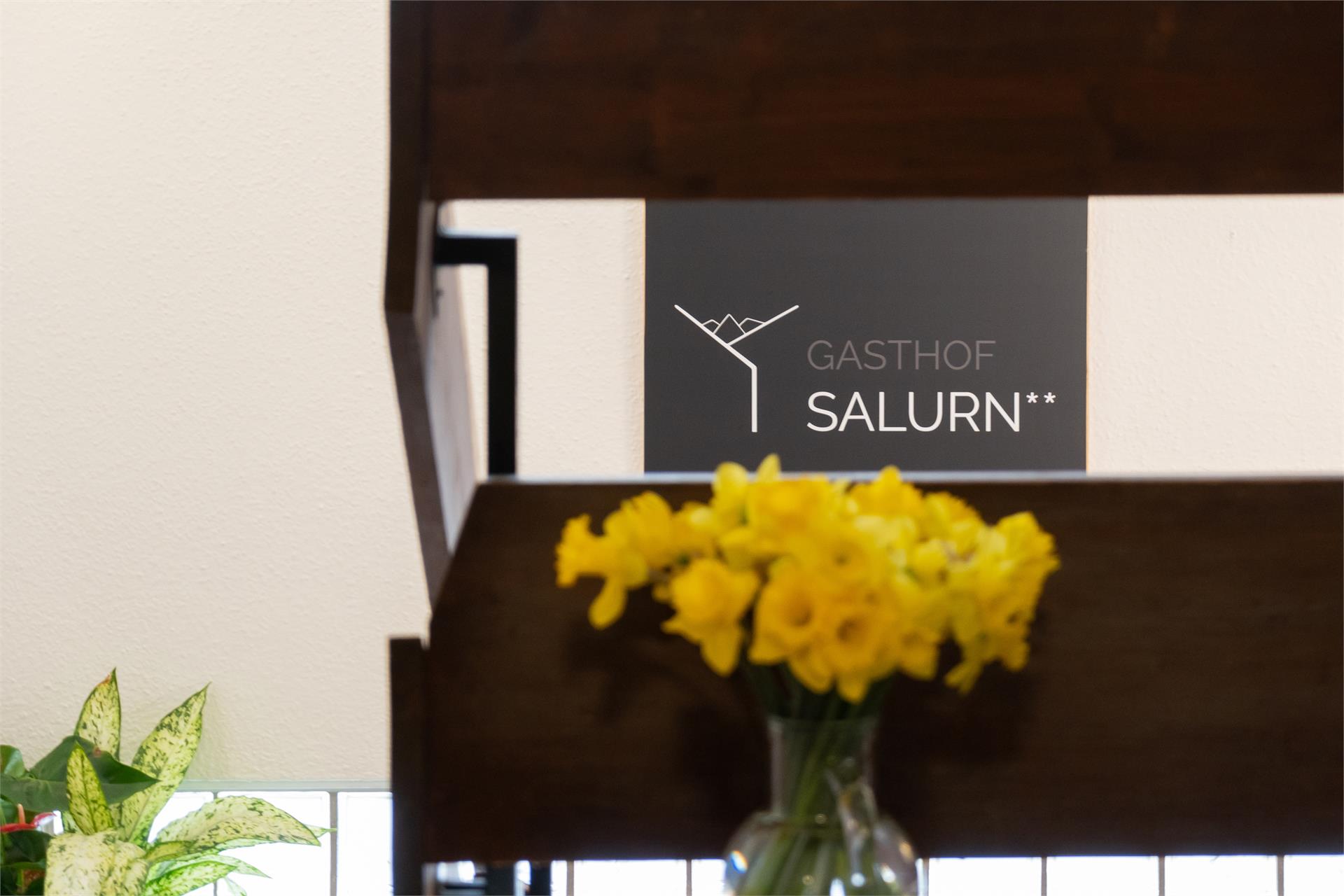Albergo Salurn Salorno/Salurn 16 suedtirol.info