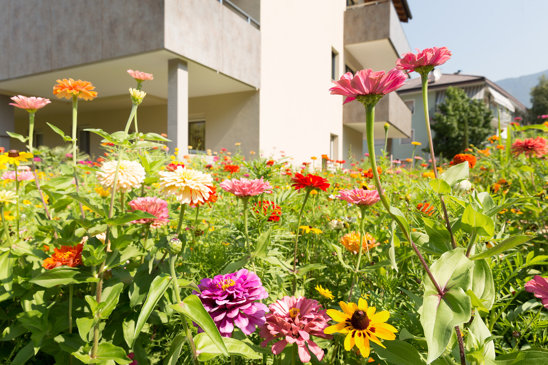 Garni Midl prato in fiori