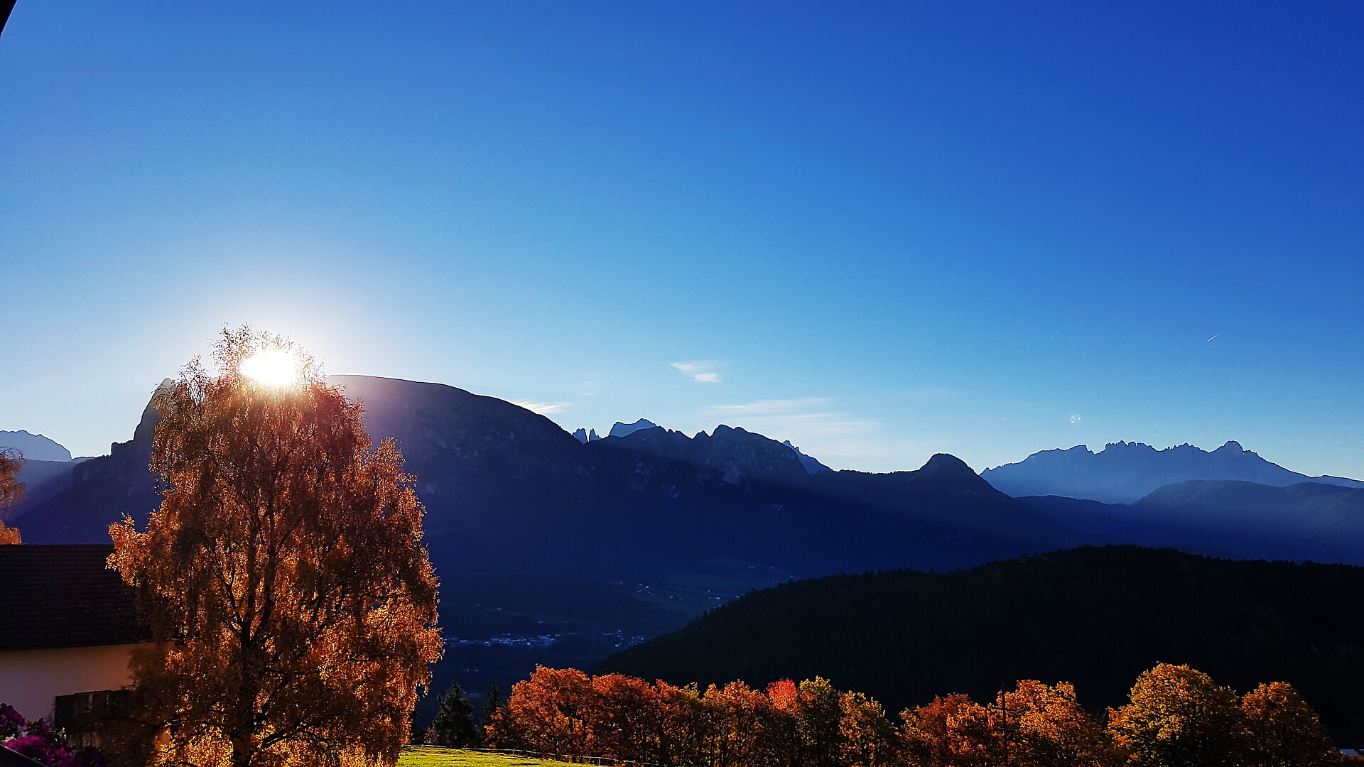Ausblick