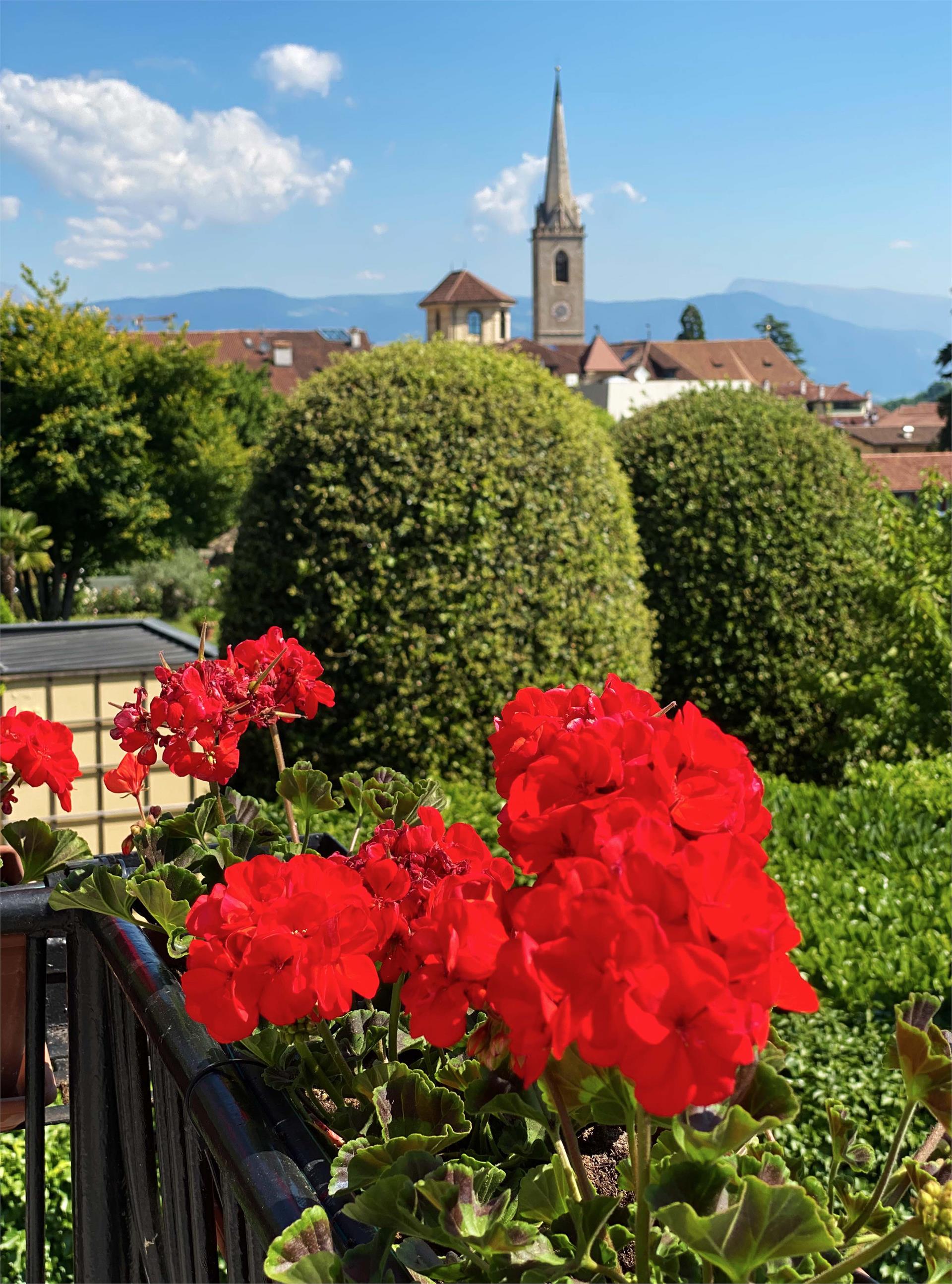 Gästehaus Anna Kaltern an der Weinstraße/Caldaro sulla Strada del Vino 7 suedtirol.info