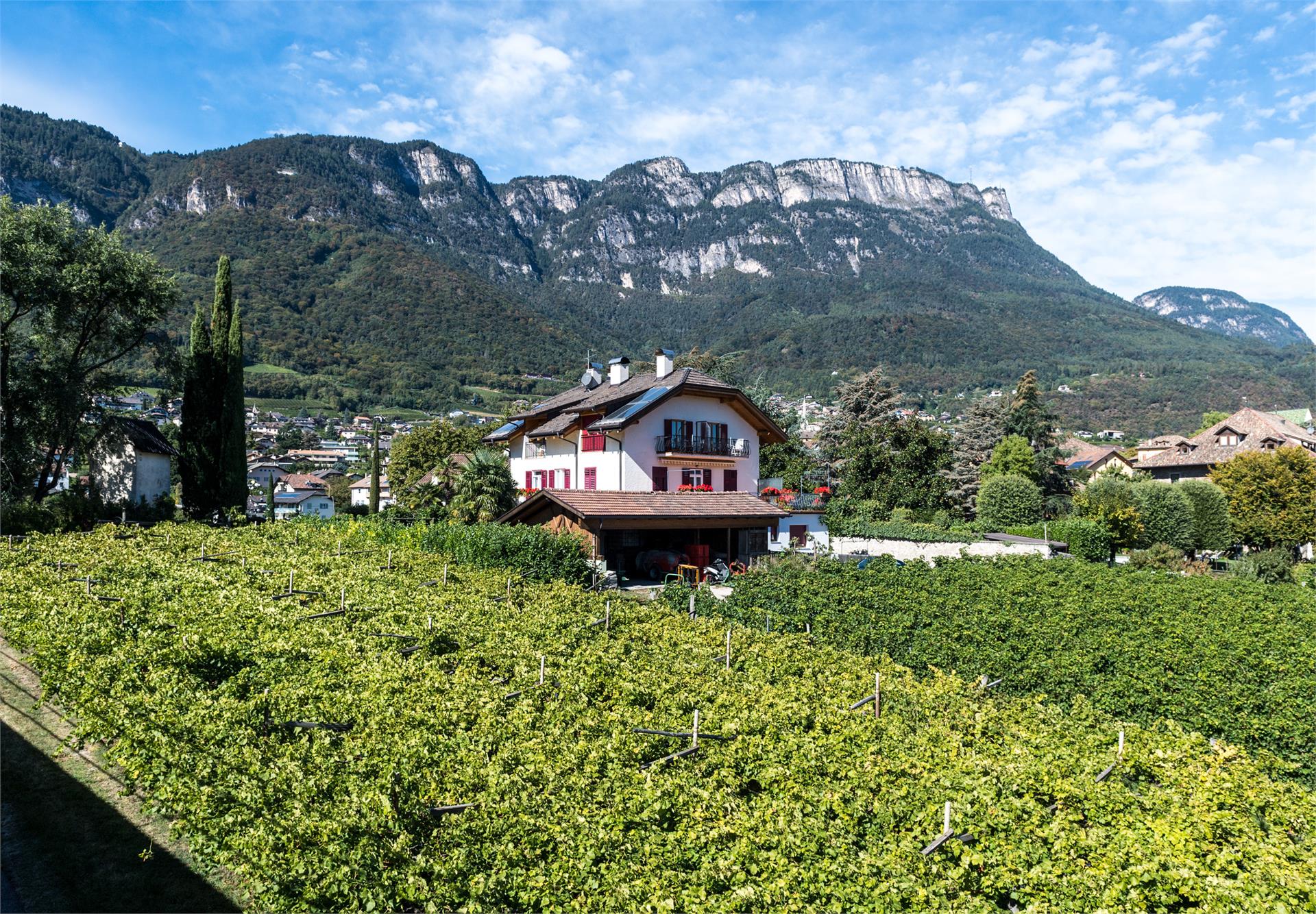 Gästehaus Anna Kaltern an der Weinstraße/Caldaro sulla Strada del Vino 2 suedtirol.info