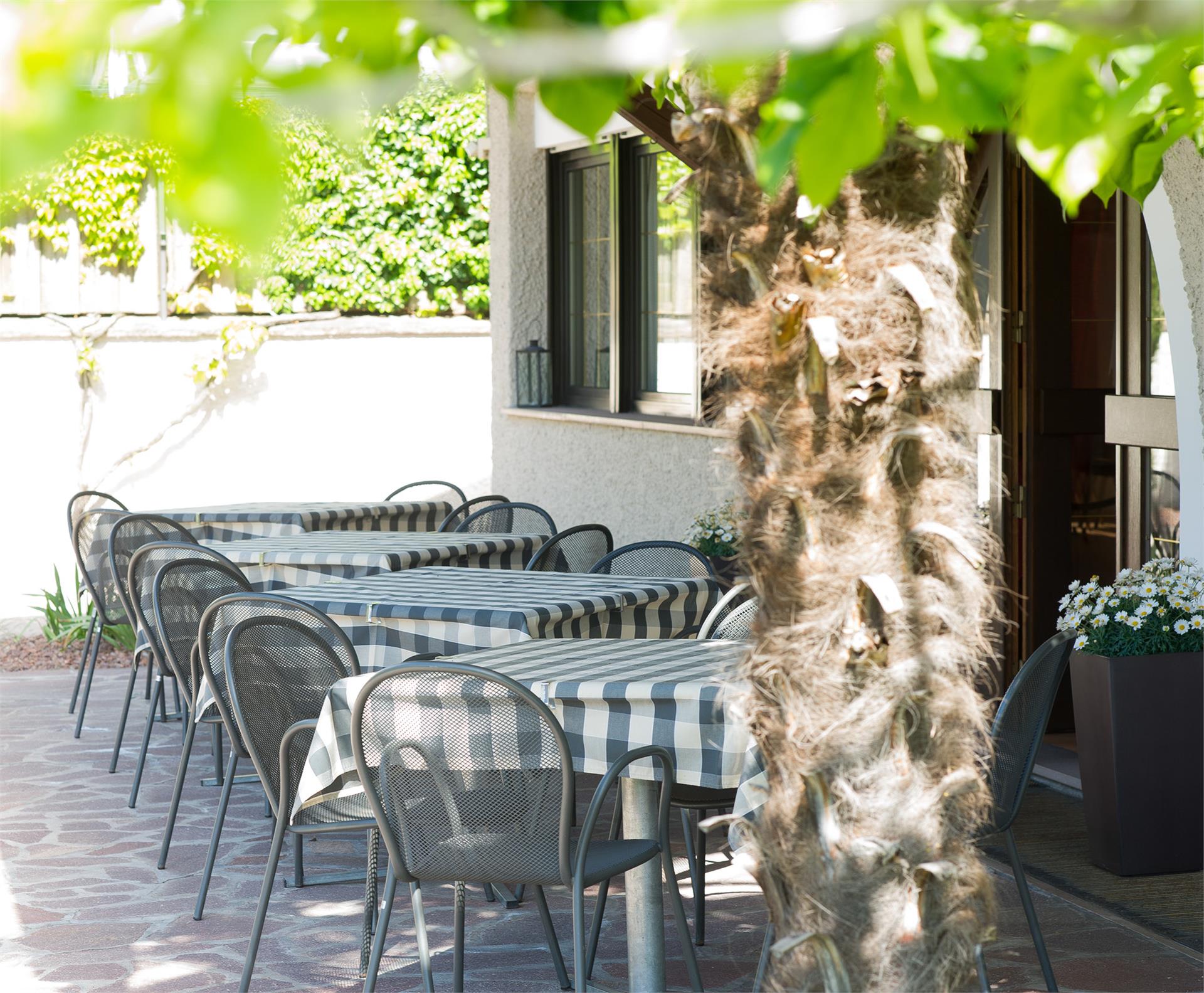 Garni-Hotel Saltneregg Caldaro sulla Strada del Vino 9 suedtirol.info