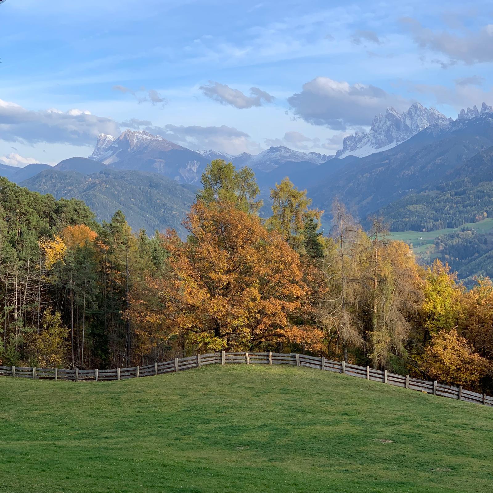 Gasthof Sturmhof Villanders/Villandro 16 suedtirol.info