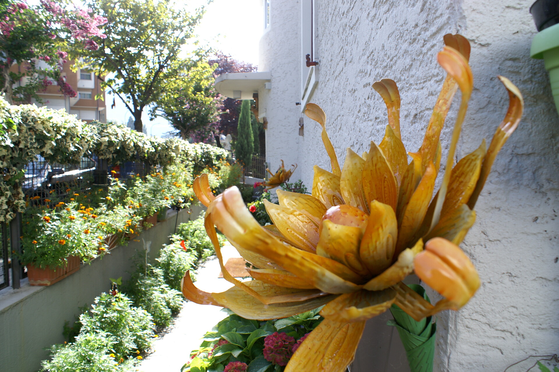 garden