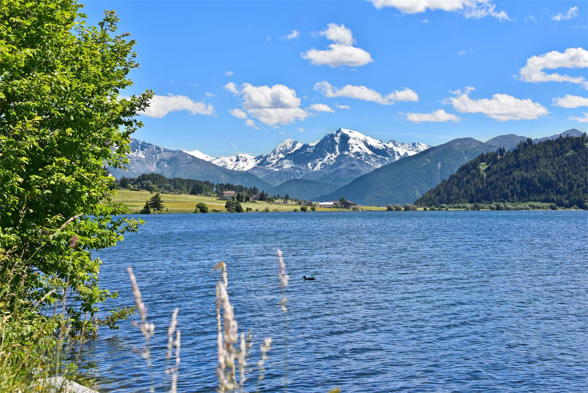 Garni Regina Curon Venosta 10 suedtirol.info