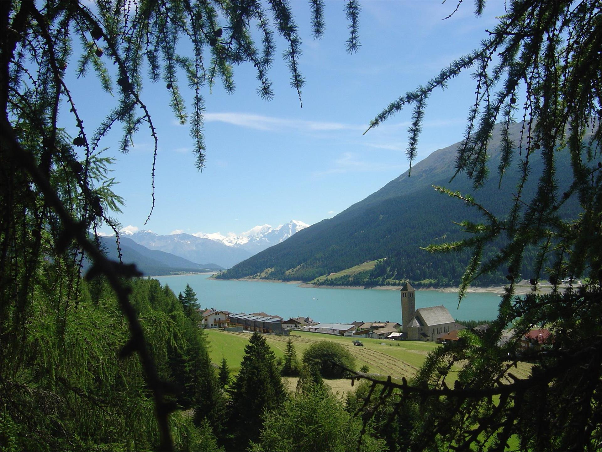 Garni Villa Claudia Augusta Graun im Vinschgau/Curon Venosta 9 suedtirol.info