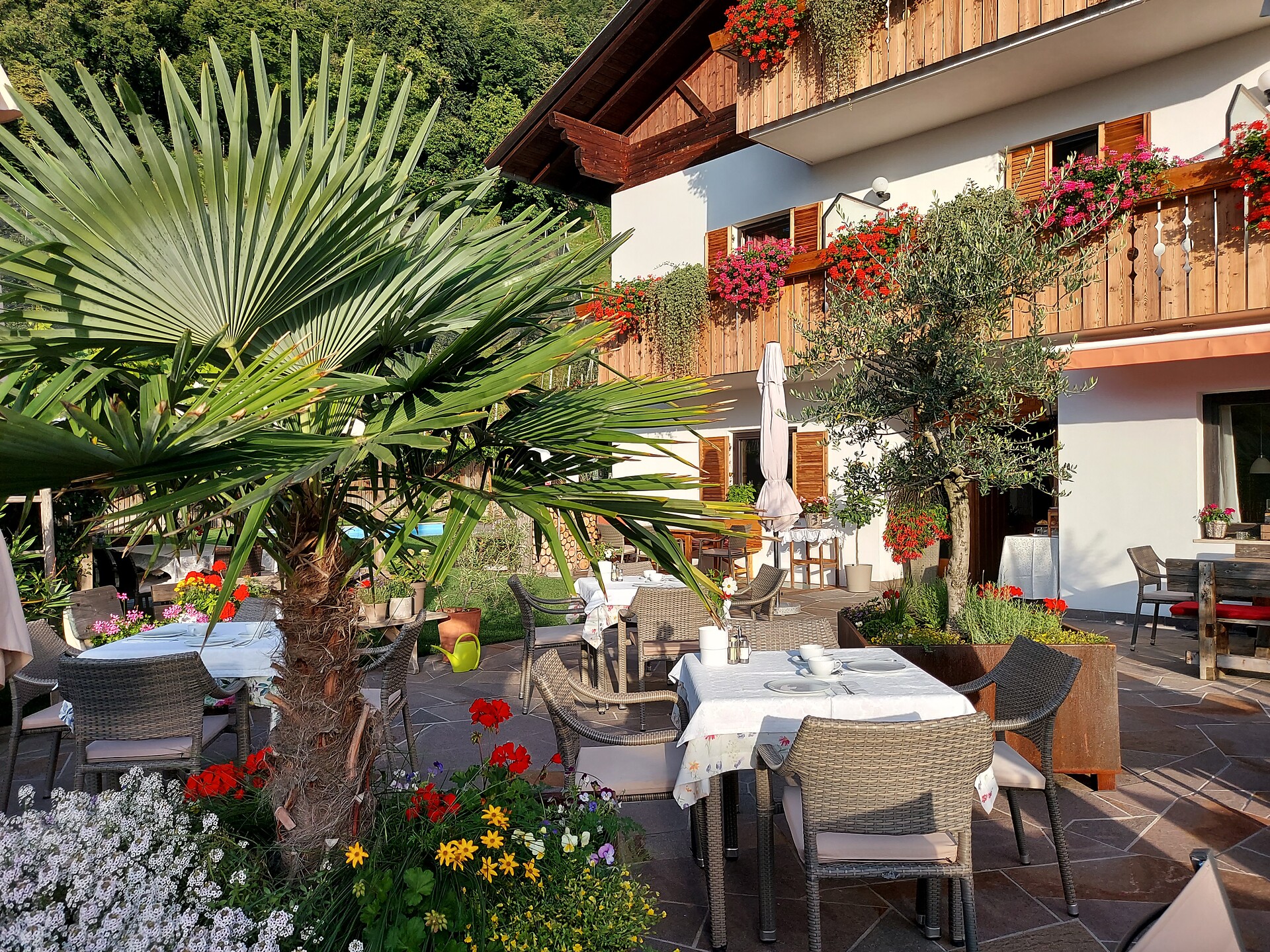 Frühstück  auf der Terrasse