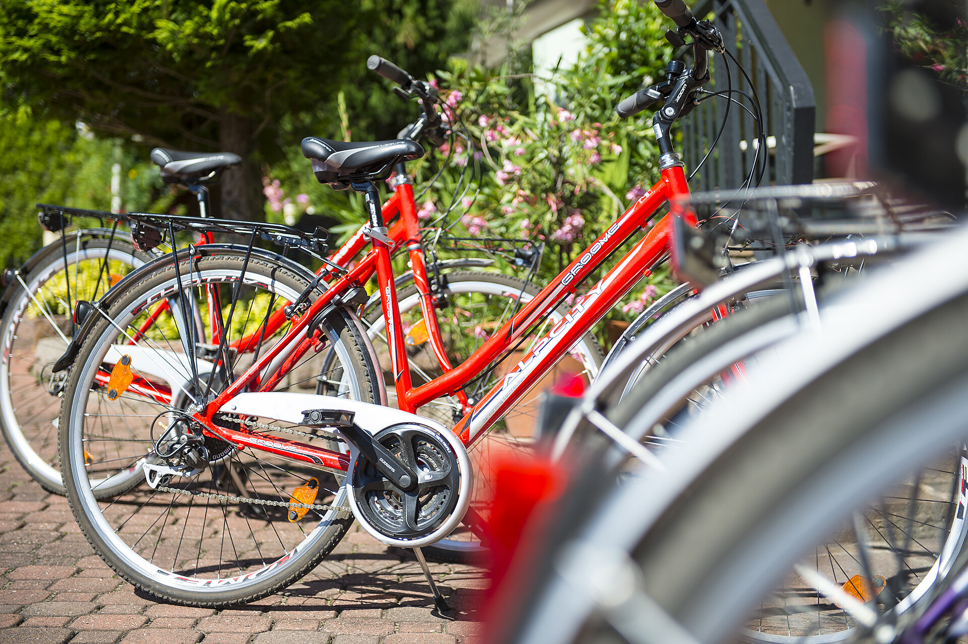 bicycle