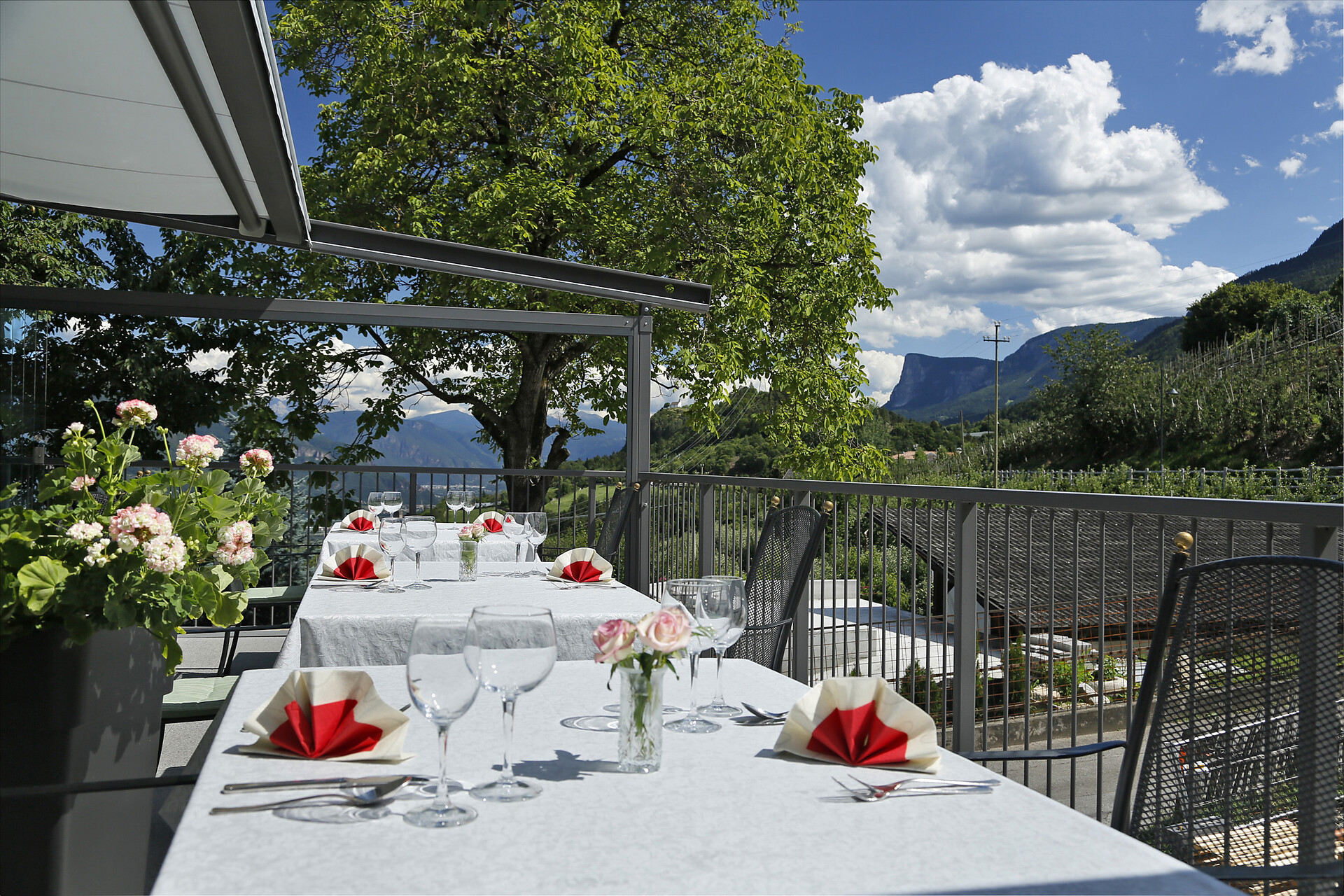 Terrace