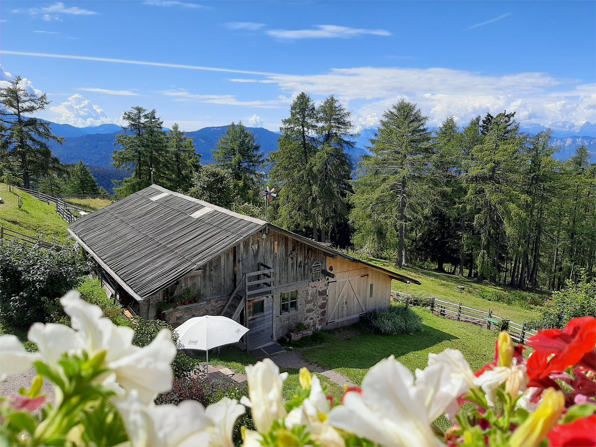 Gasthof Schmiederalm Aldein/Aldino 3 suedtirol.info